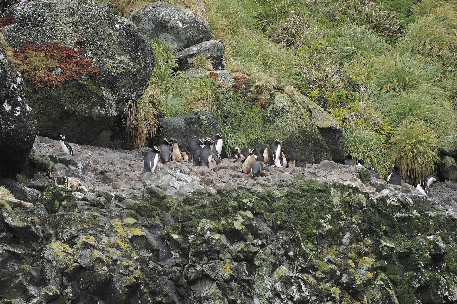 _DSC6482.JPG