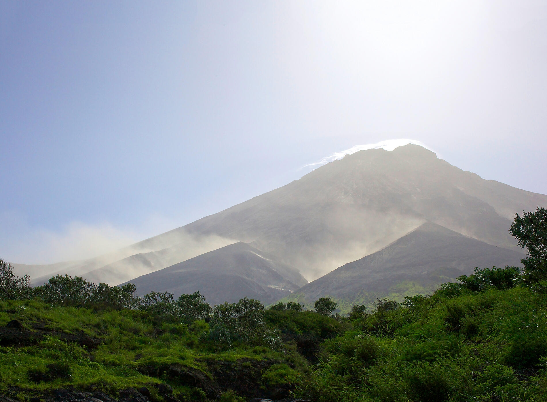 iStock_000027317441Large.jpg