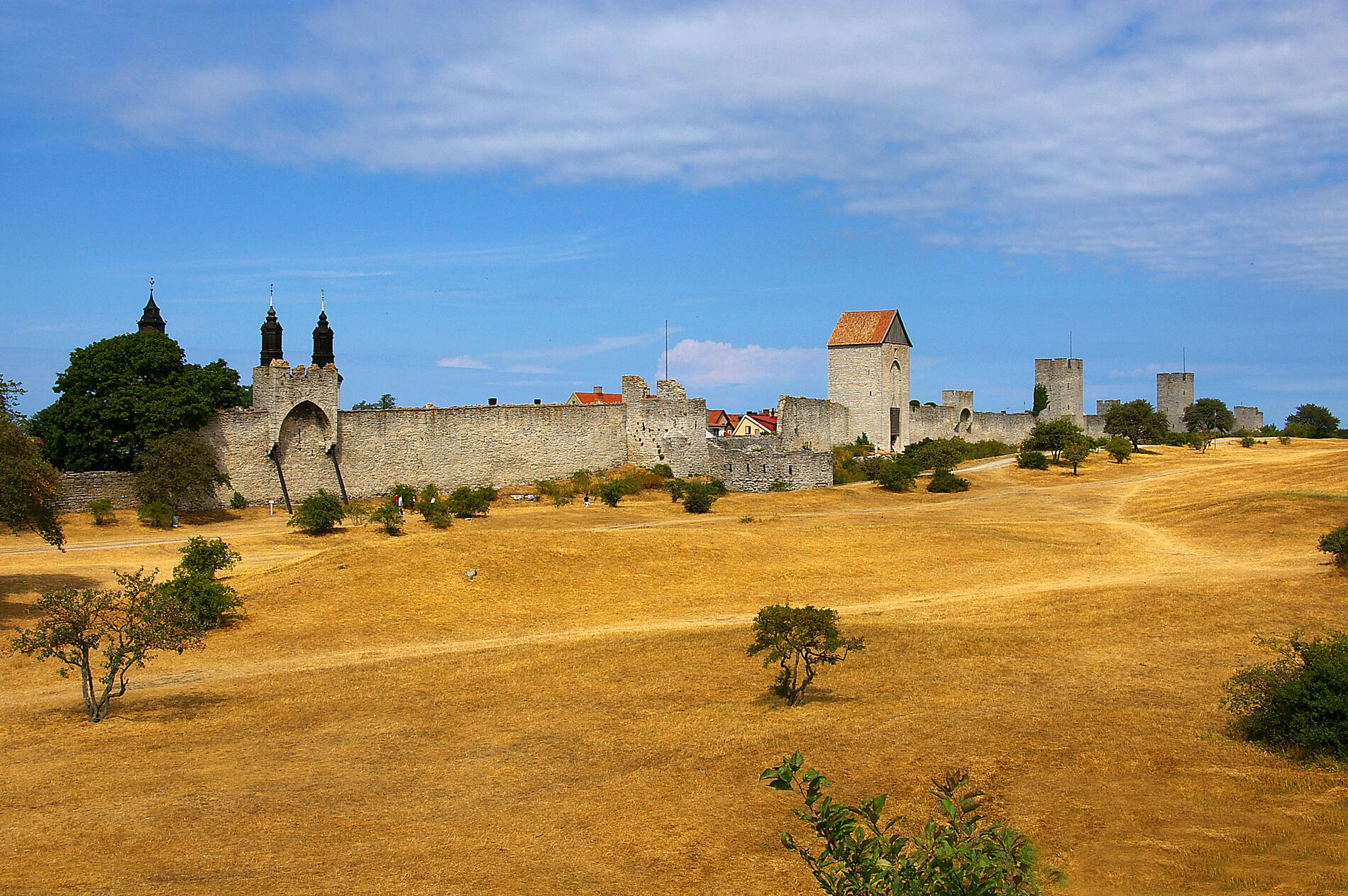 AdobeStock_23032562.jpeg