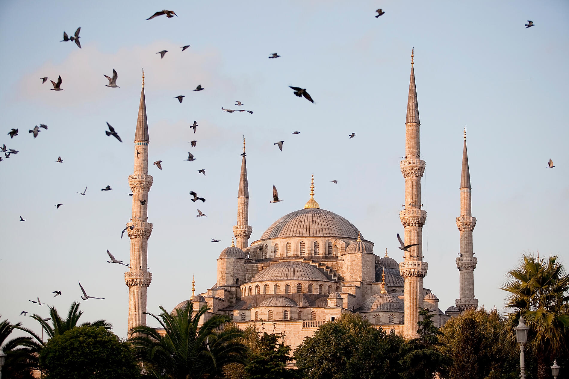 iStock_000010488611Large.jpg