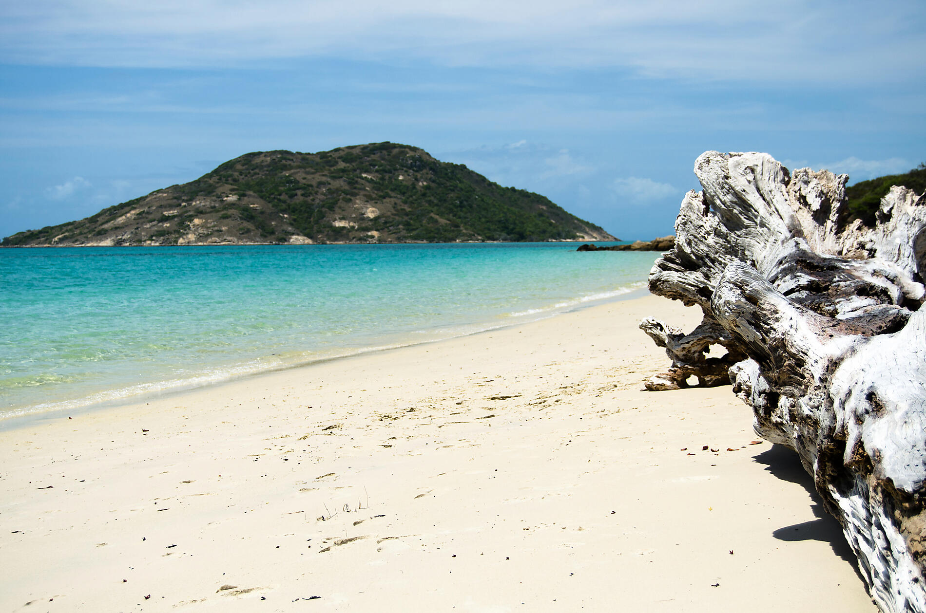iStock_000022819016_Full.jpg
