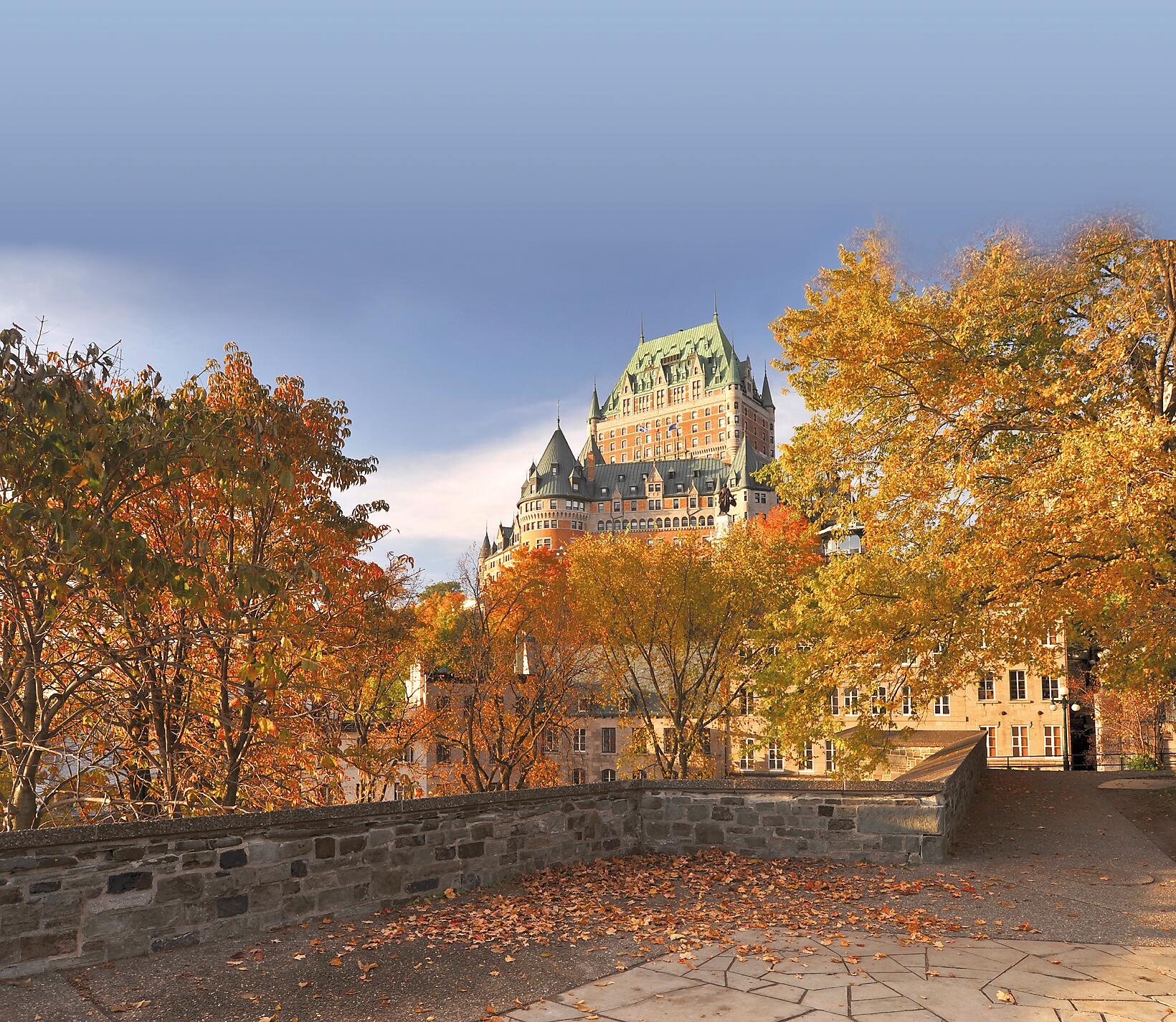 iStock_000014397238Large.jpg