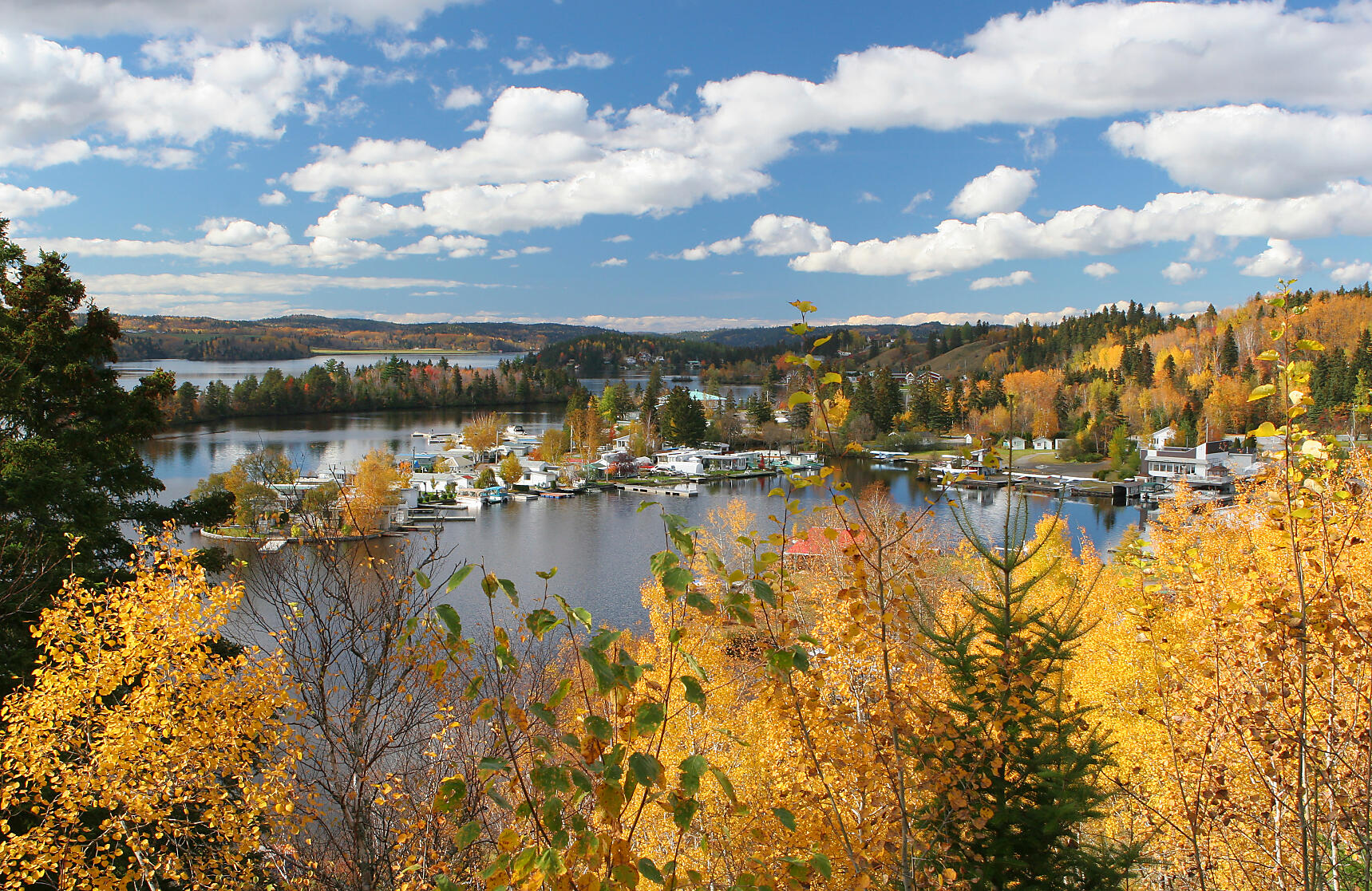 iStock_000002263055Medium.jpg