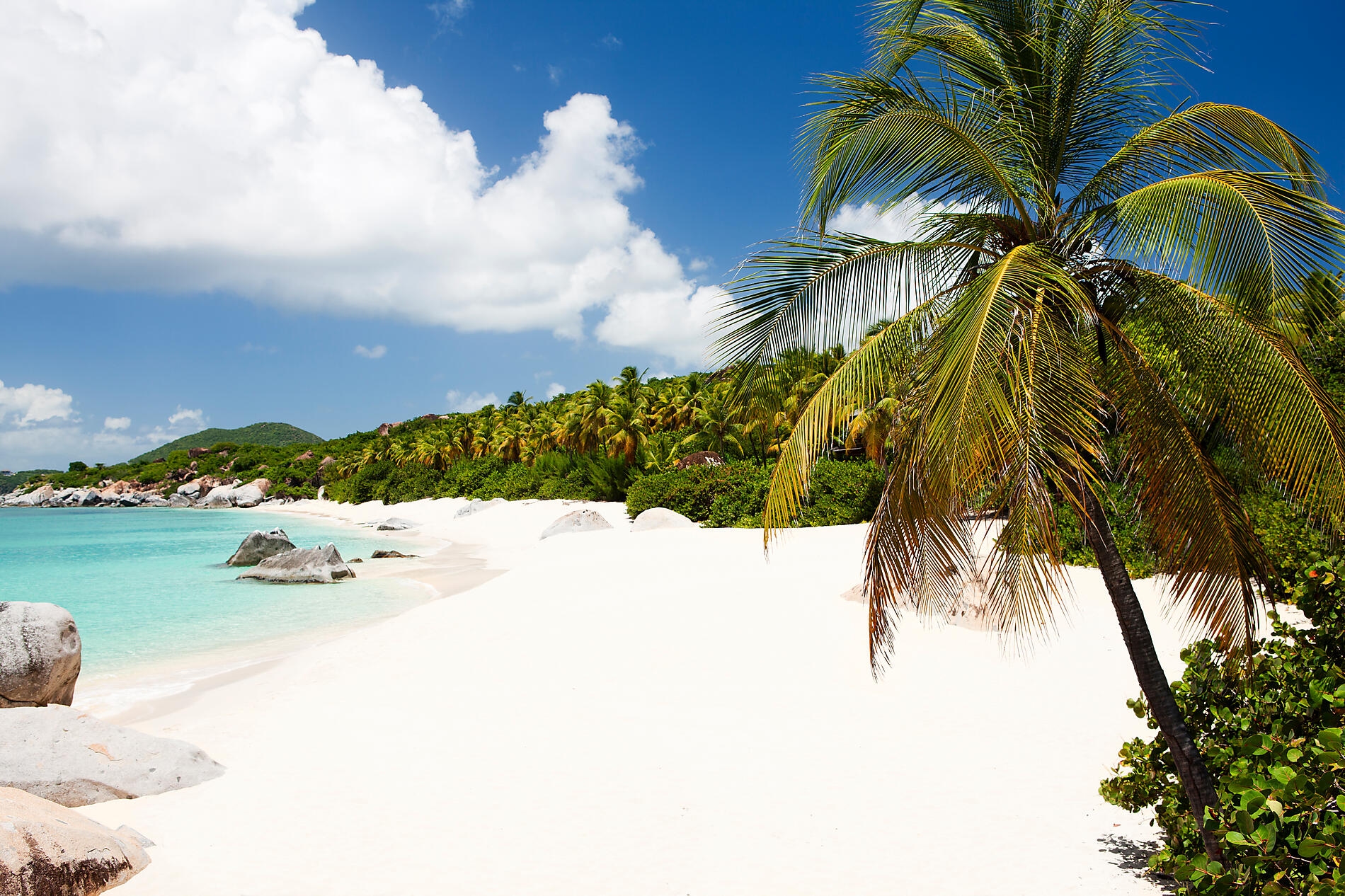 iStock-183018639.jpg