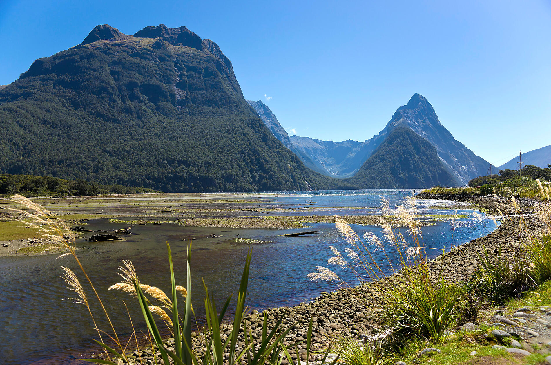 iStock_000016161226Large.jpg