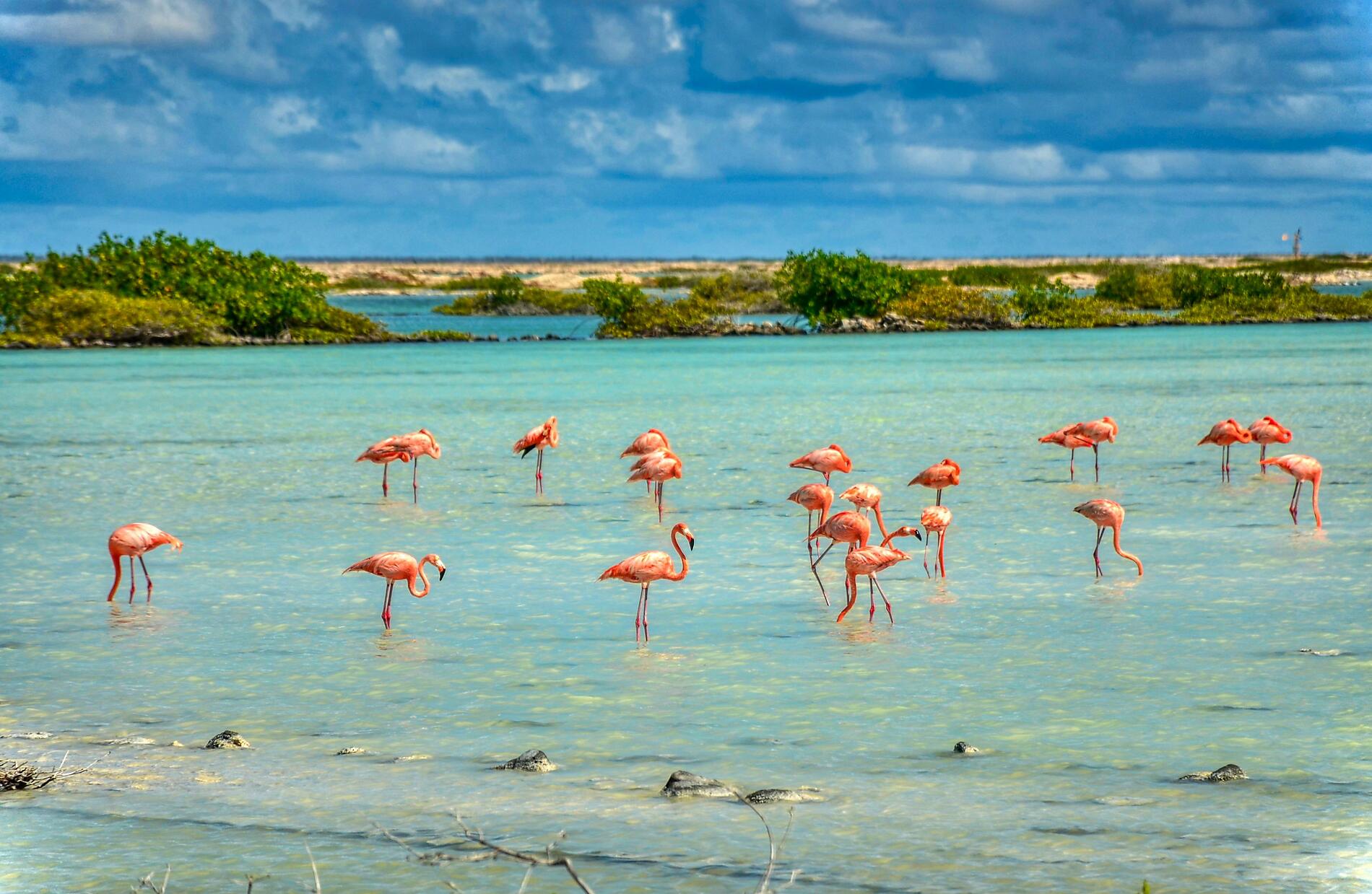 AdobeStock_393187951.jpg