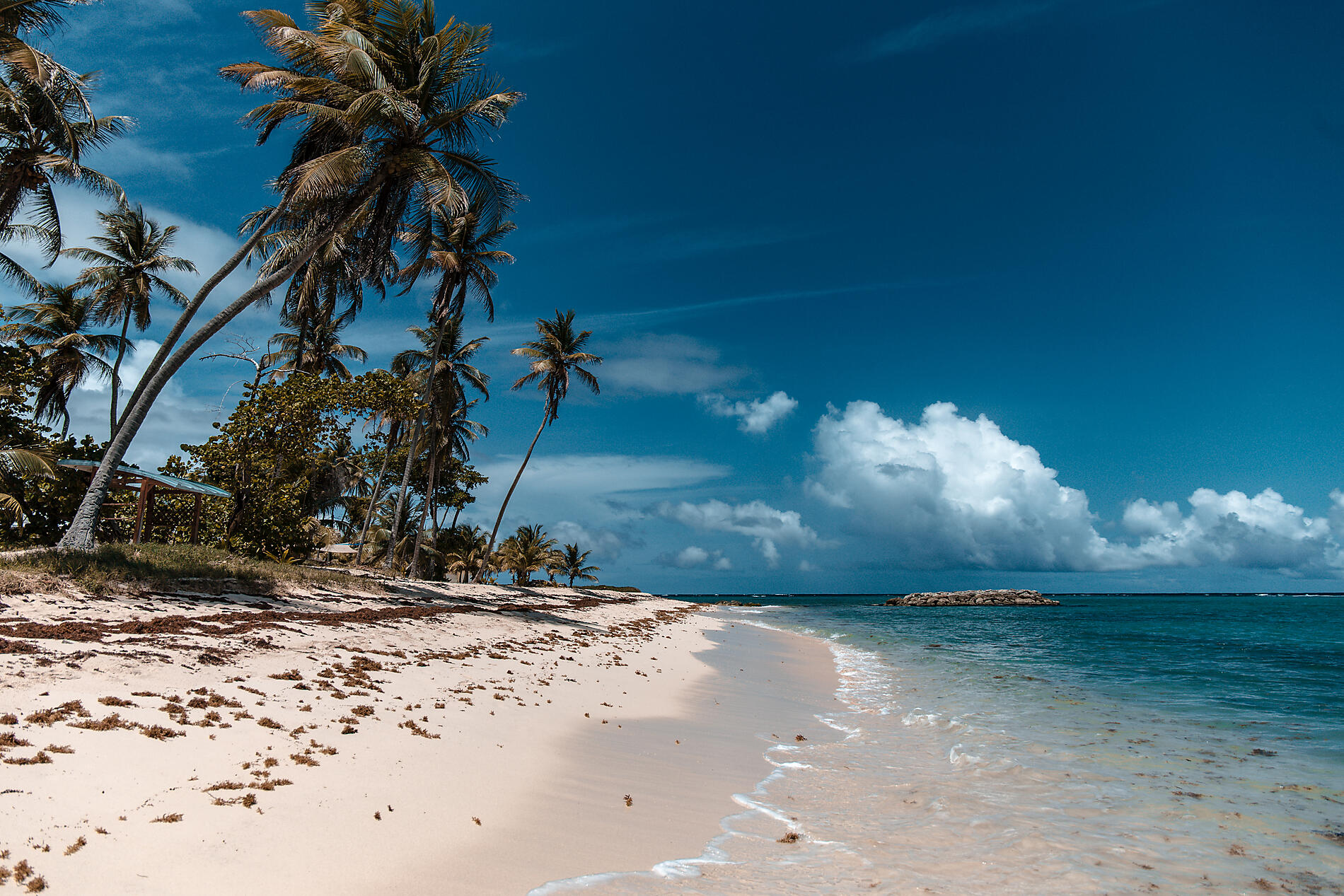 AdobeStock_377155173.jpeg