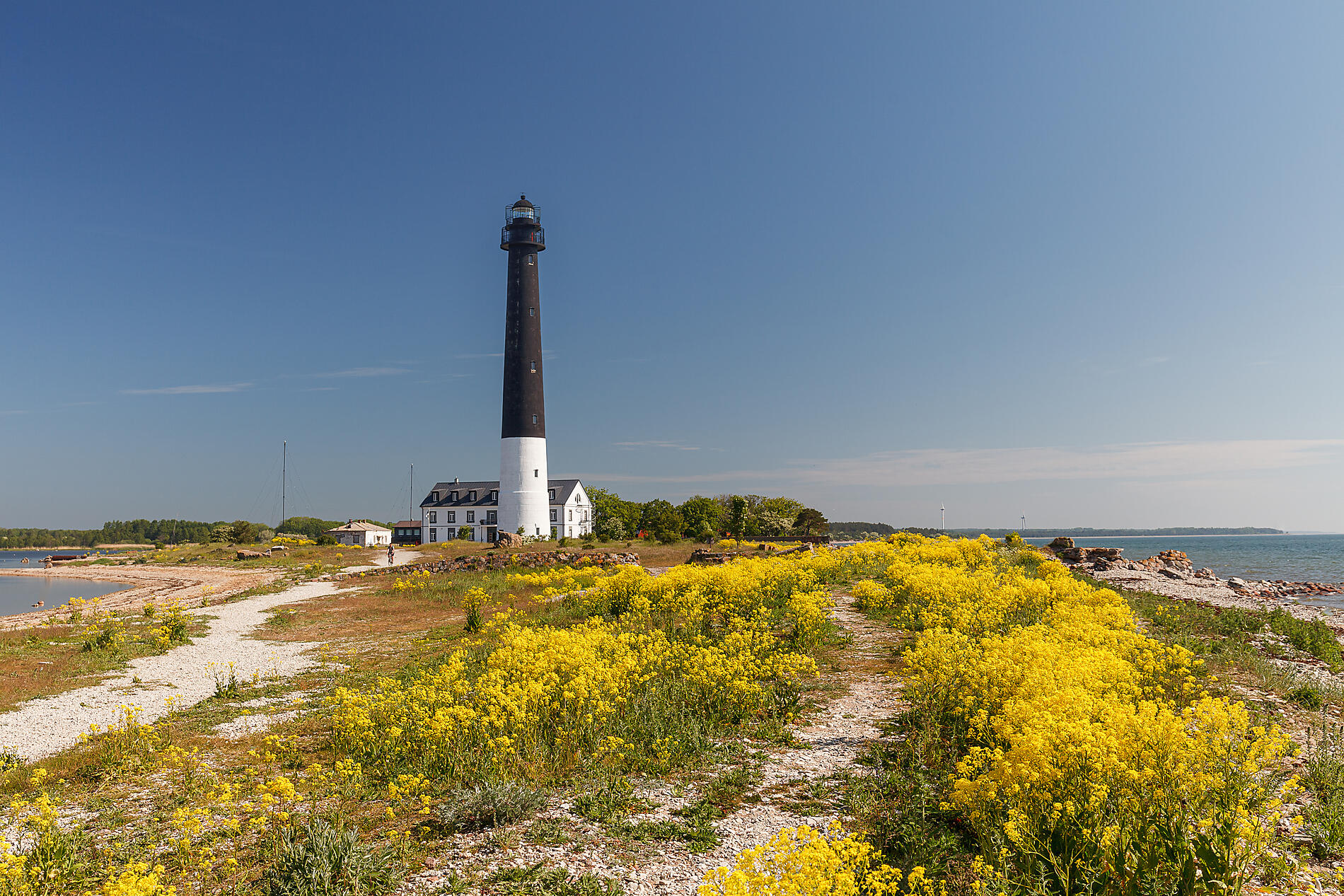 iStock-1468435468.jpg