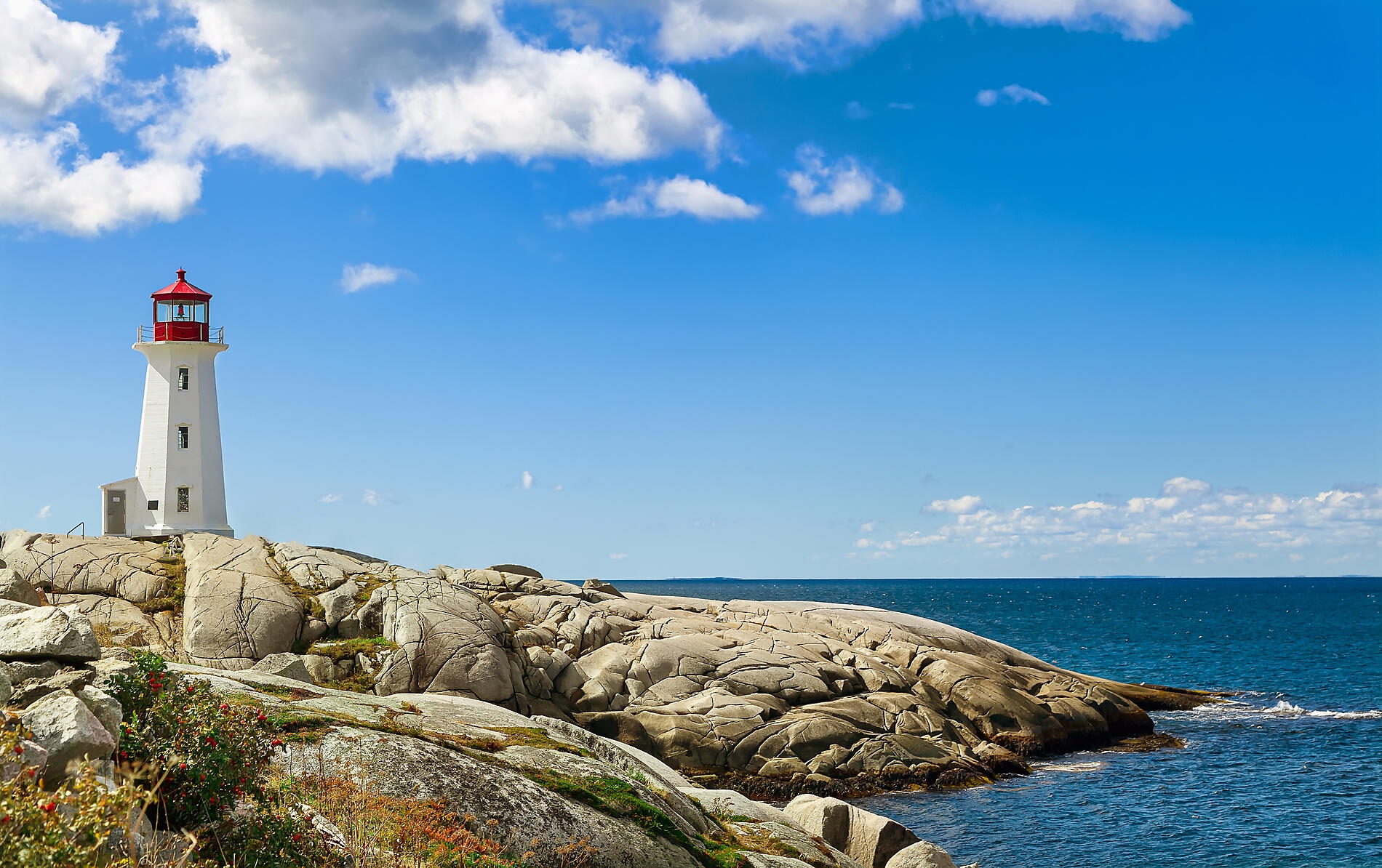 iStock-1401589722.jpg