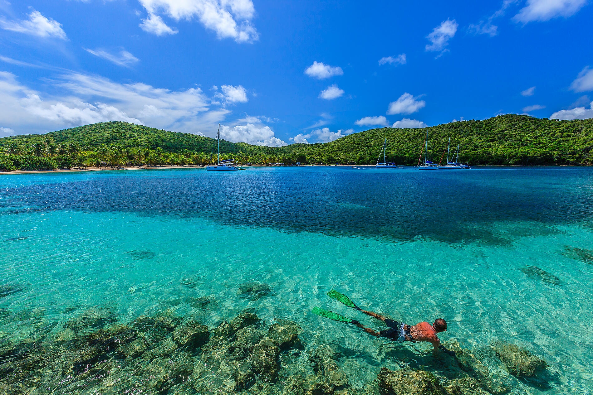 iStock_000021175156_Large.jpg