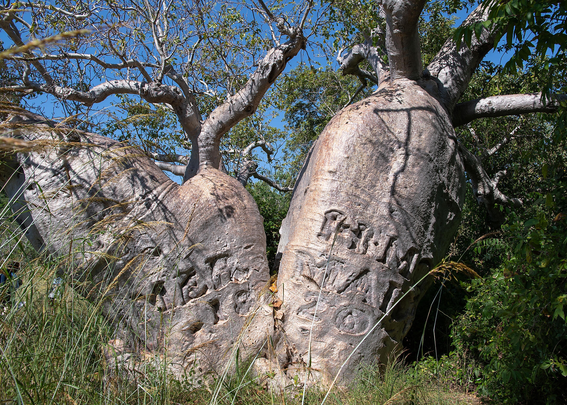 N°-1157_R280422_Darwin-Broome@StudioPONANT-Laure Patricot.jpg
