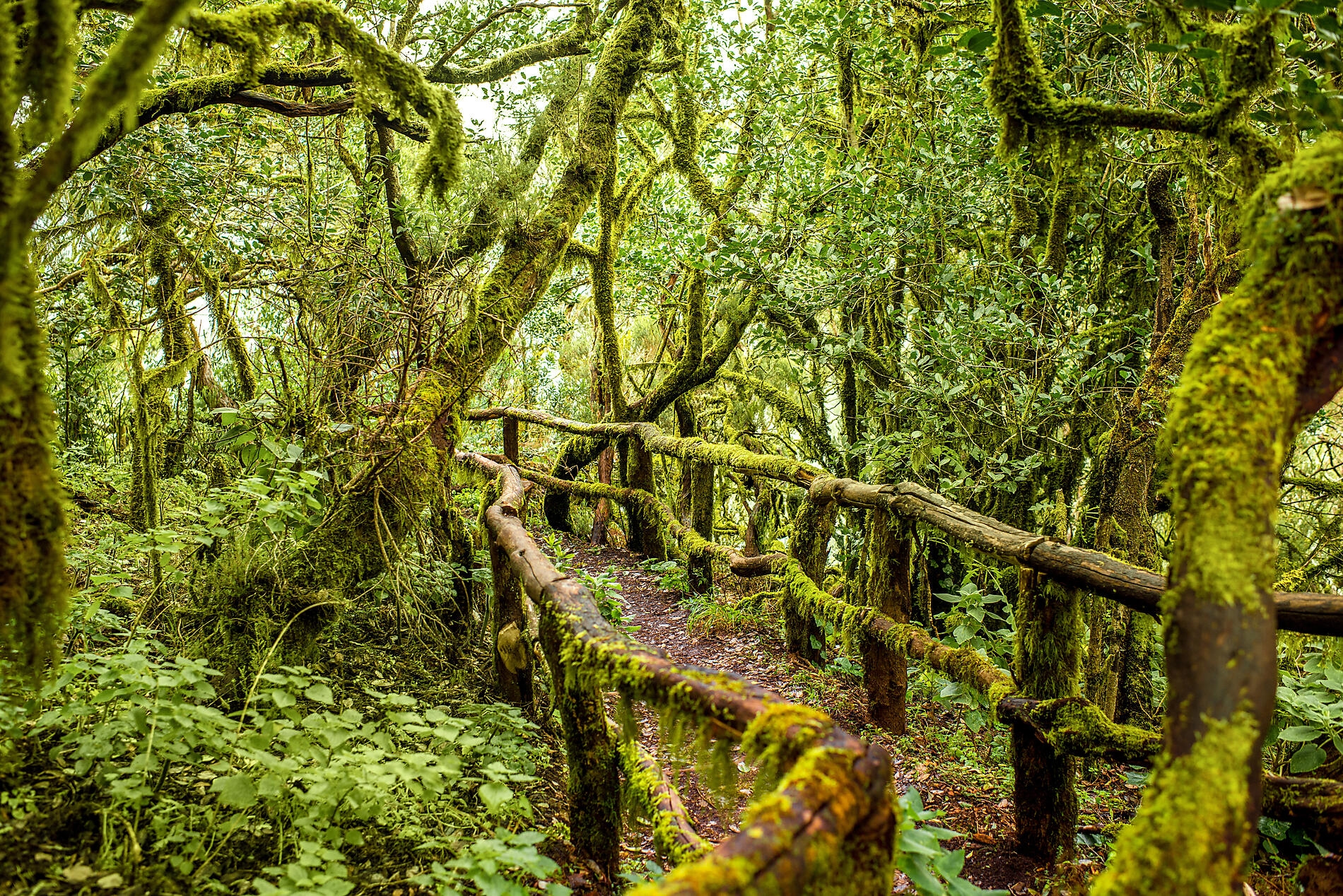 AdobeStock_103572510.jpeg