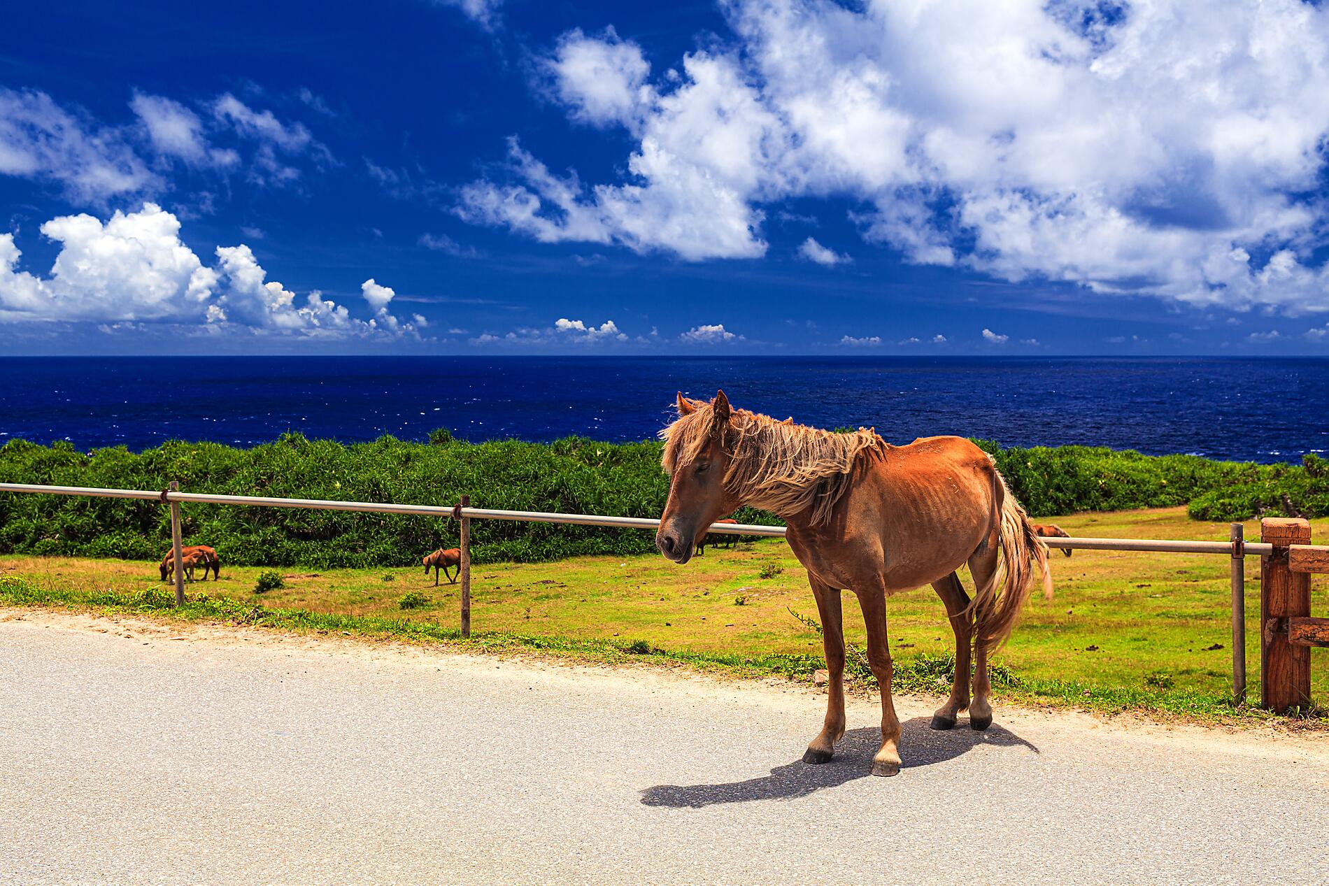 iStock-1318819832.jpg