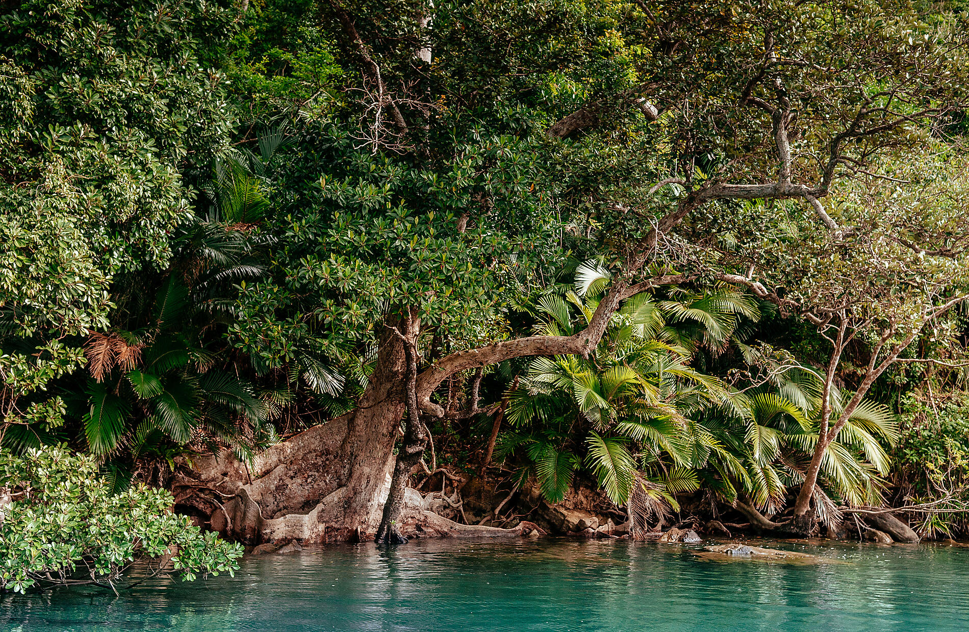 AdobeStock_198361217.jpeg