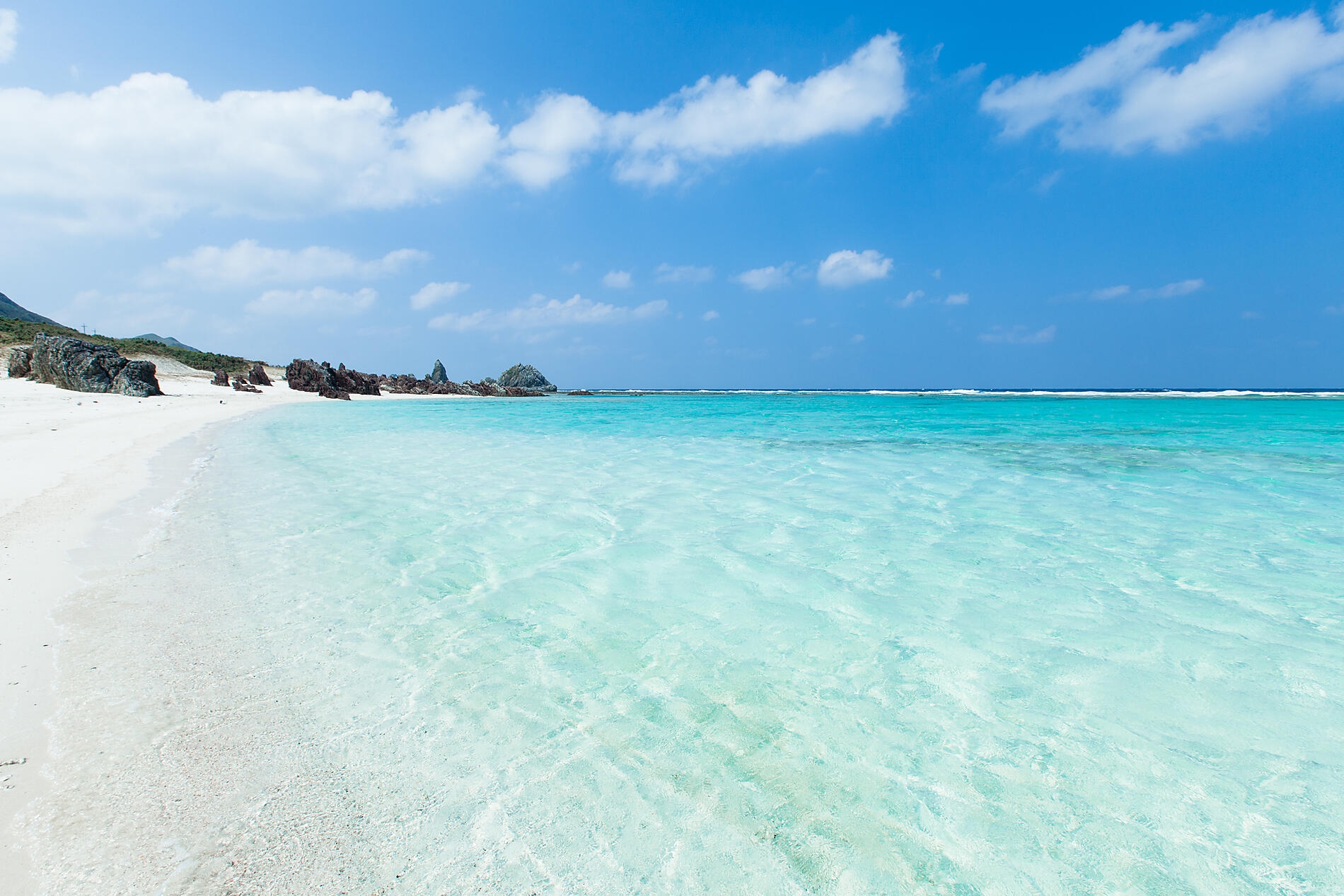iStock-156603973.jpg