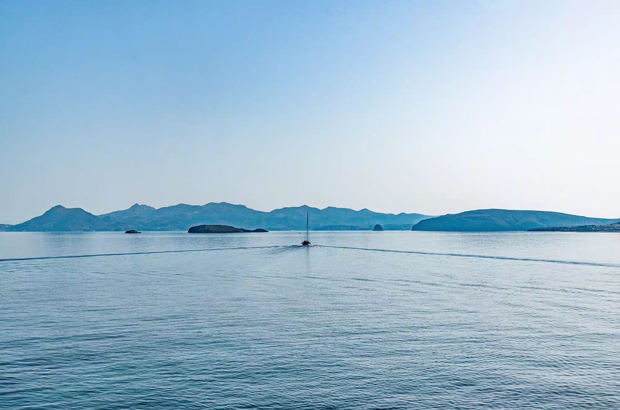 Test Expert undefined