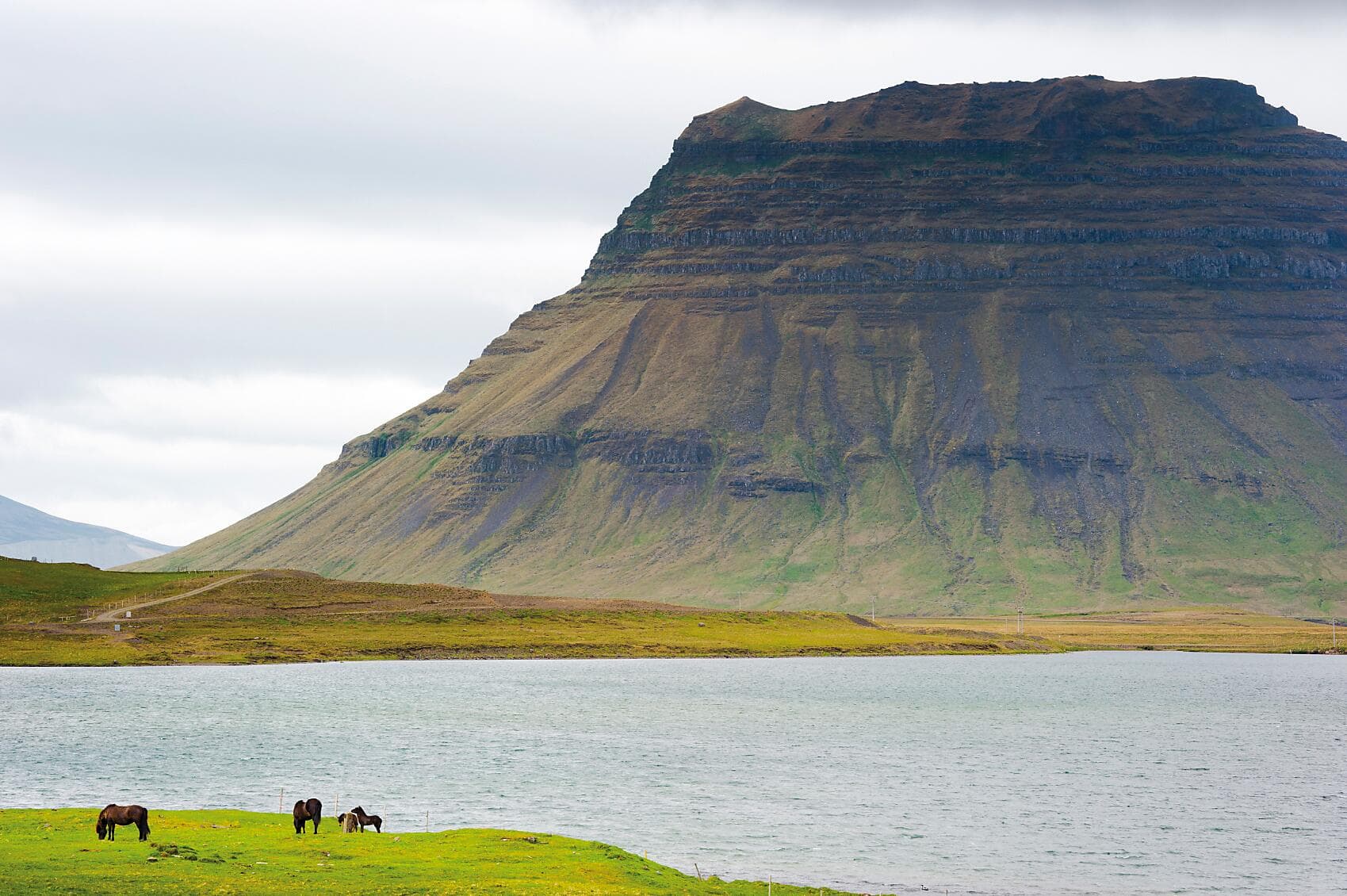 Nature et traditions islandaises 