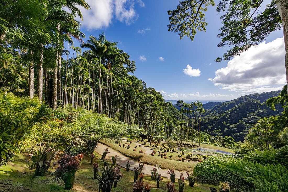 ARÔMES ET PARFUMS DE MARTINIQUE