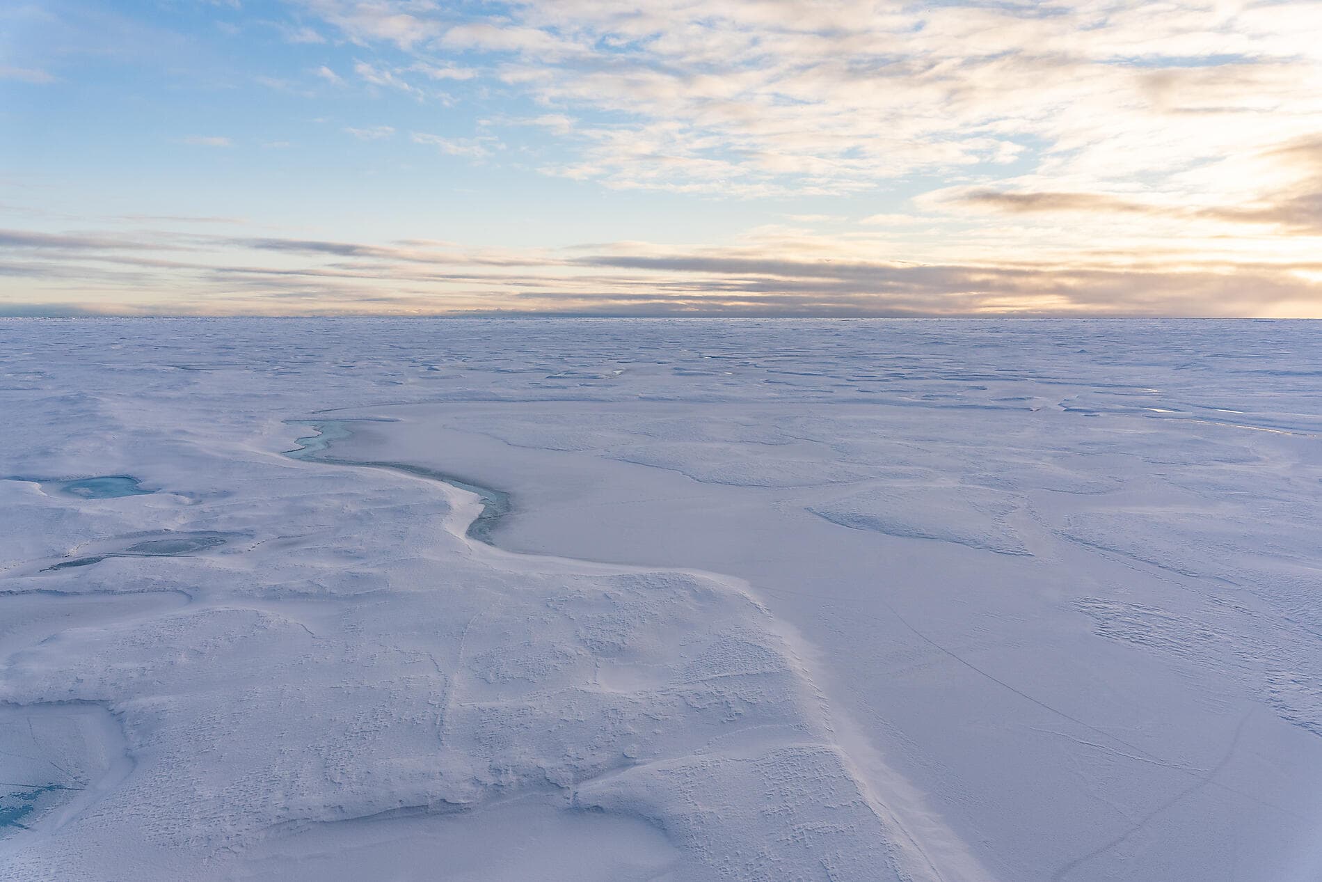 Transarctique, la quête des deux pôles Nord 