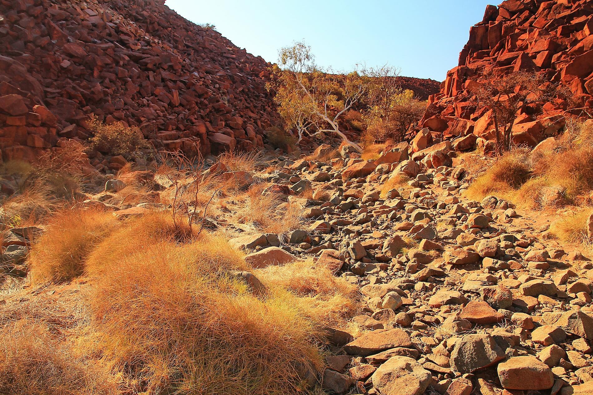 Odyssée le long de la côte ouest australienne 
