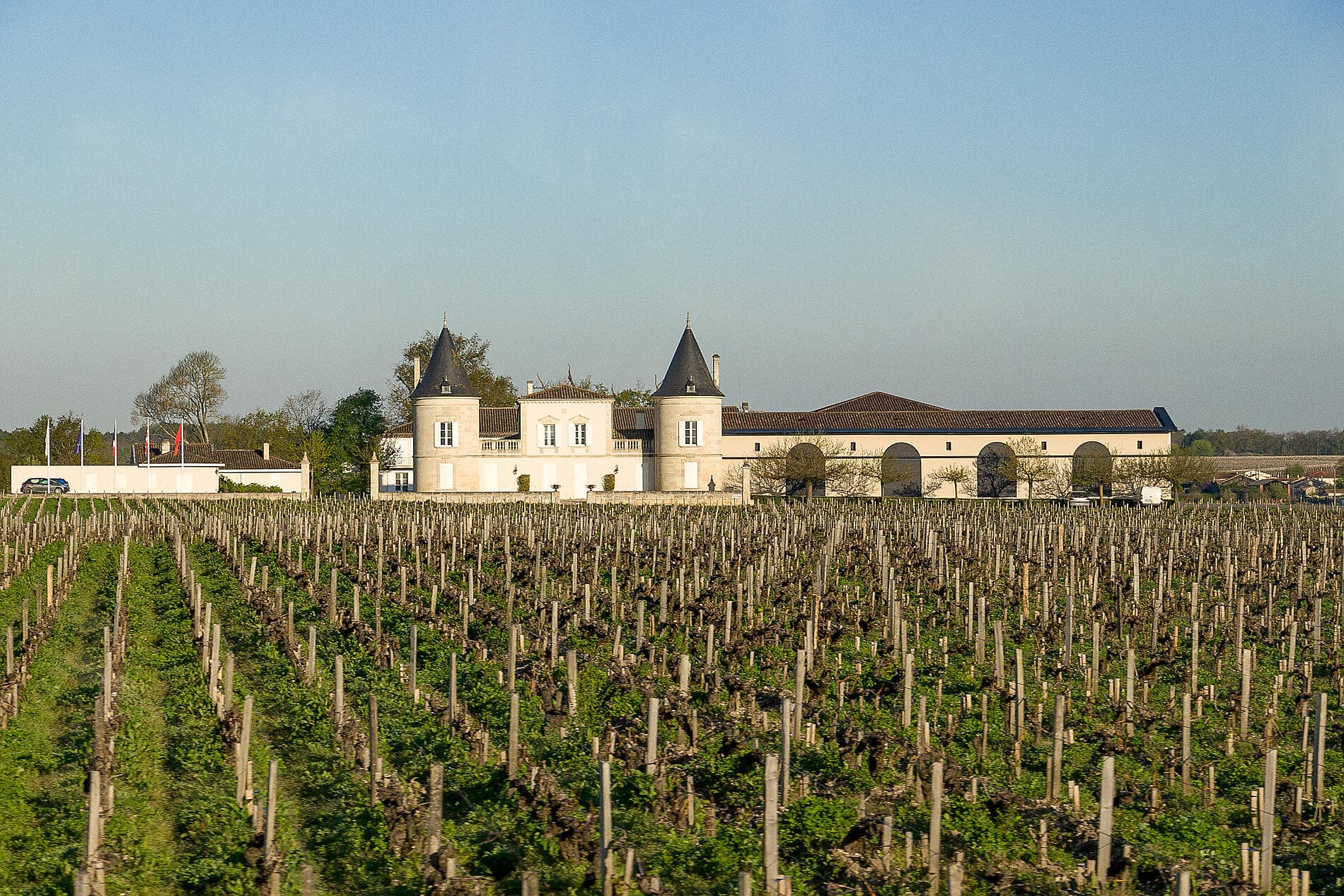 Saveurs, vignes et océan 