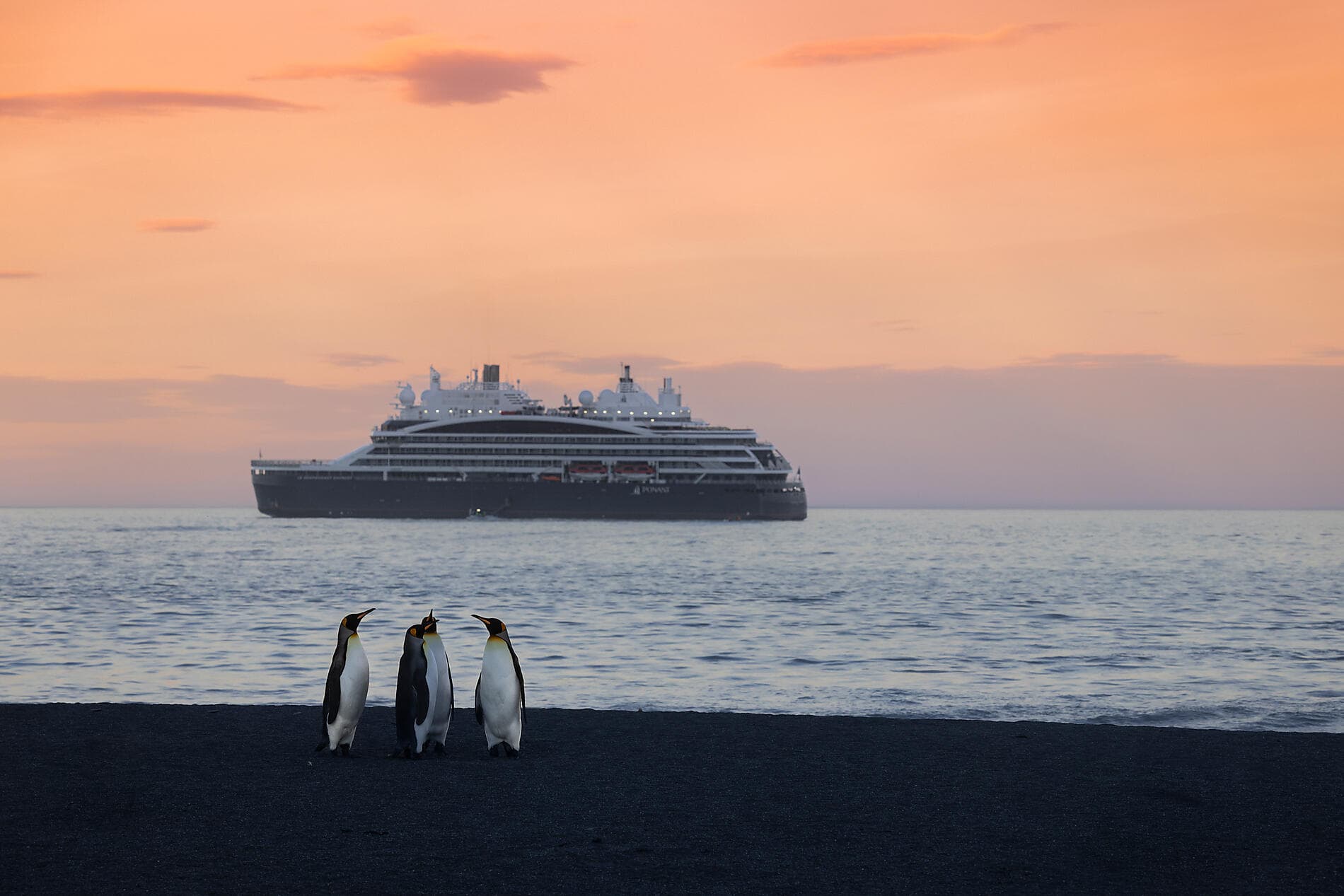 Côte est inexplorée de l’Antarctique et terres australes françaises 
