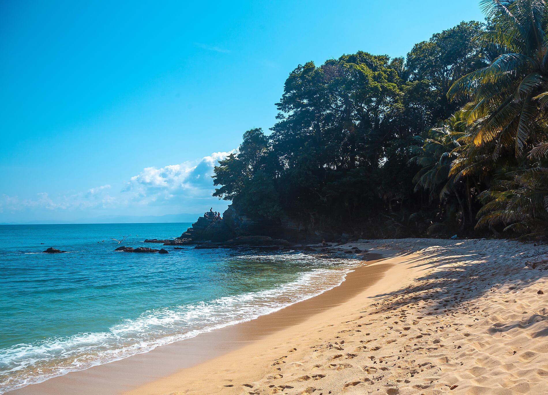 Sanctuaires naturels et rencontres caribéennes 