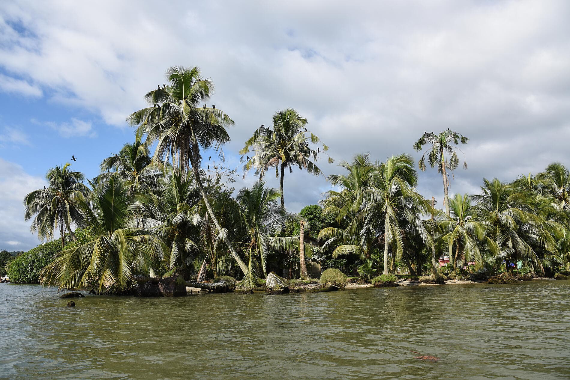 Odyssée tropicale en Amérique centrale 