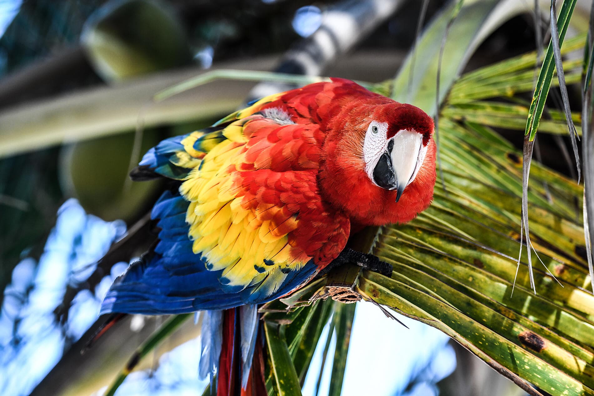 Odyssée tropicale en Amérique centrale 