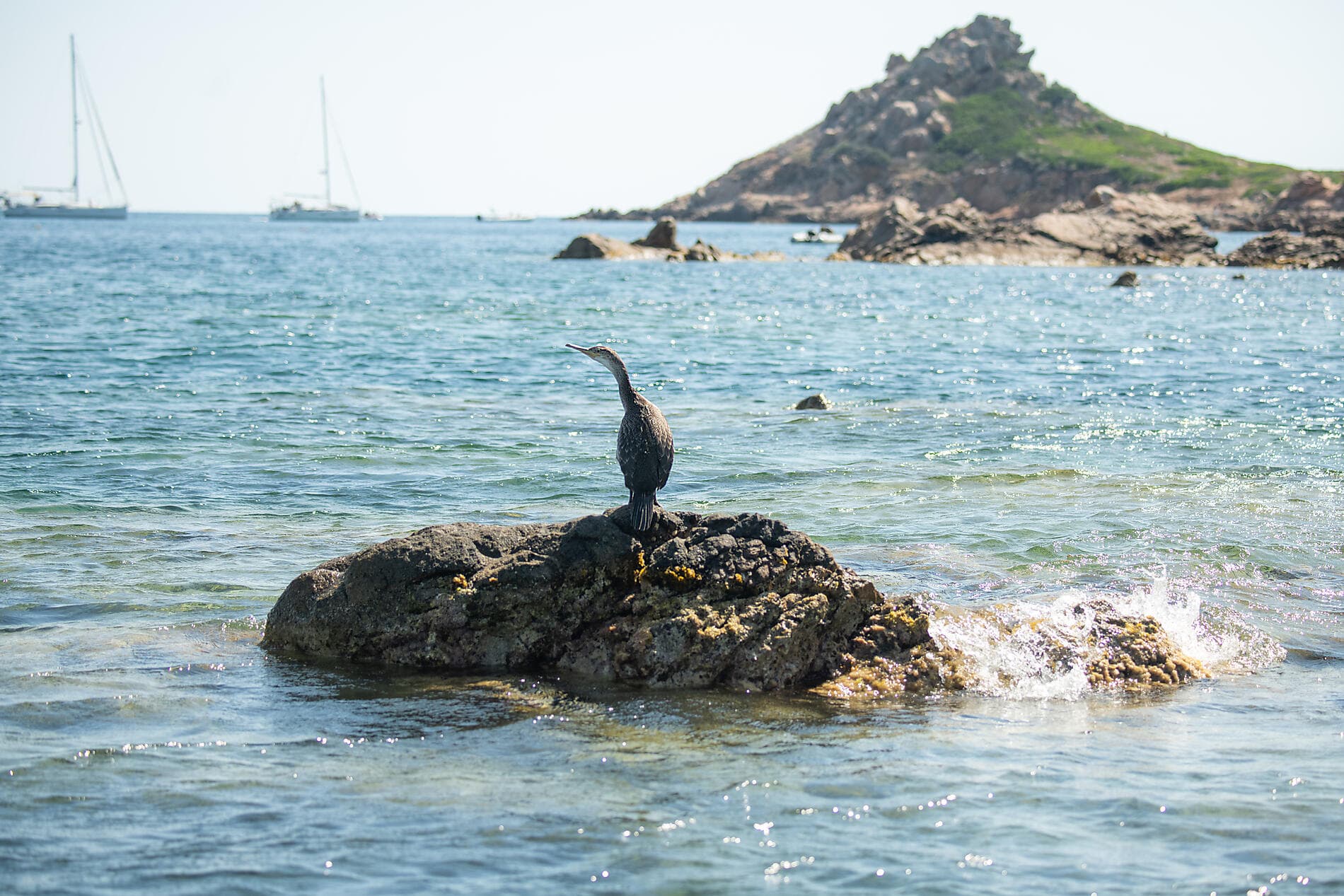 Rivages corses sous les voiles du Ponant ©StudioPONANT_Laura Gelfged