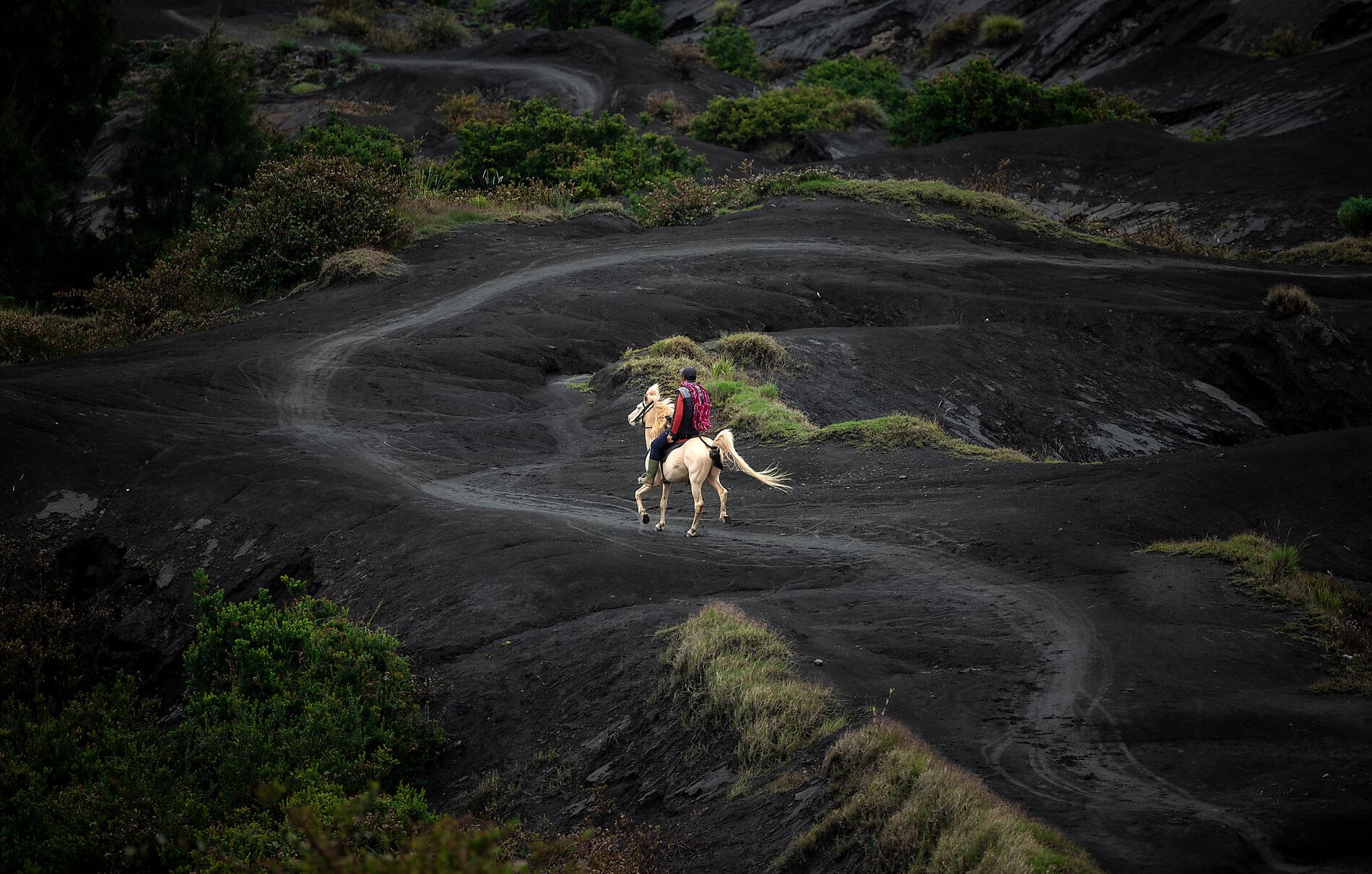 De temples en volcans : l’âme indonésienne 