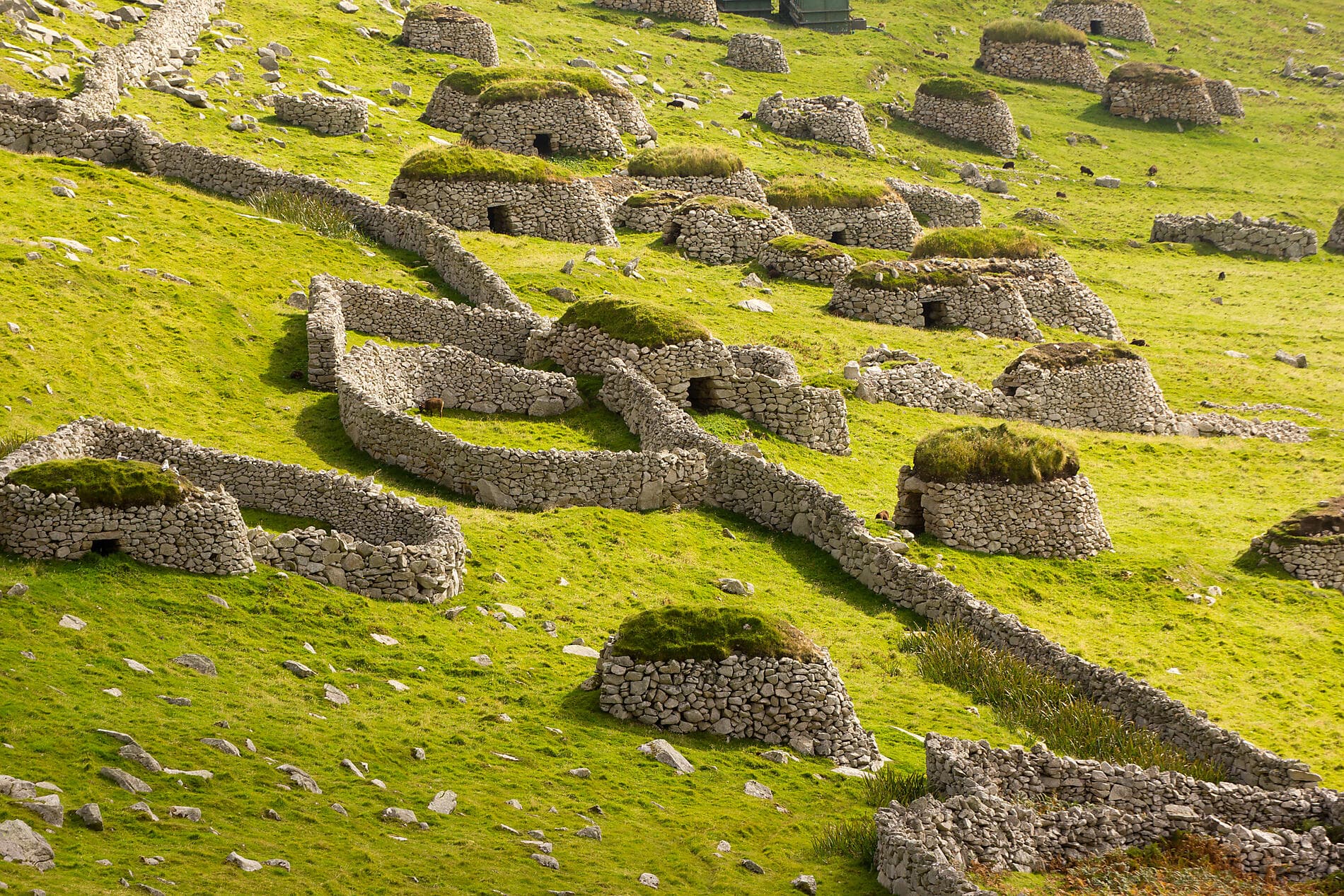 Archipels d’Écosse et îles Féroé : héritages nordiques et identités insulaires 