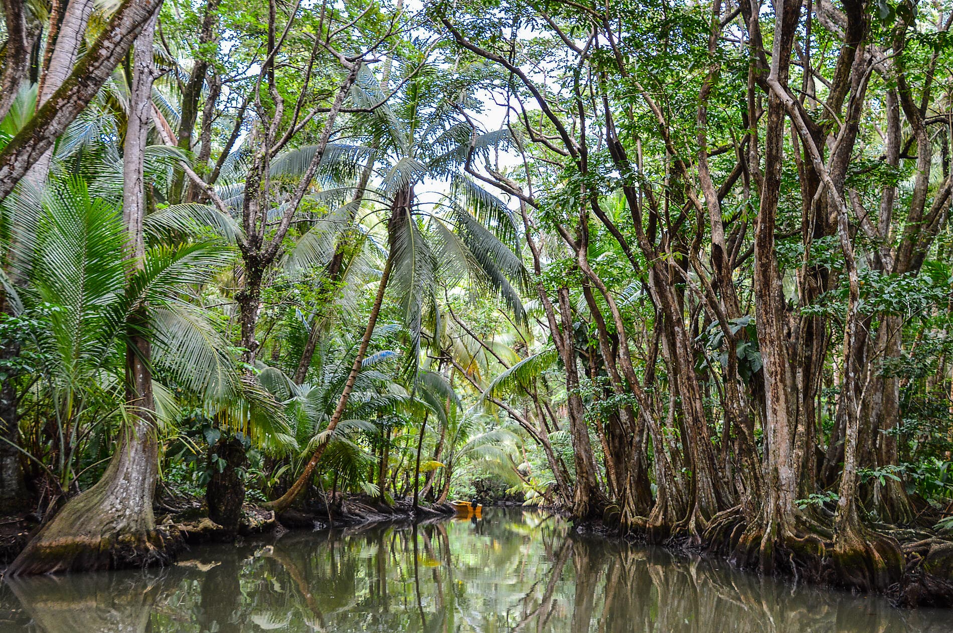 L'essentiel des Caraïbes 