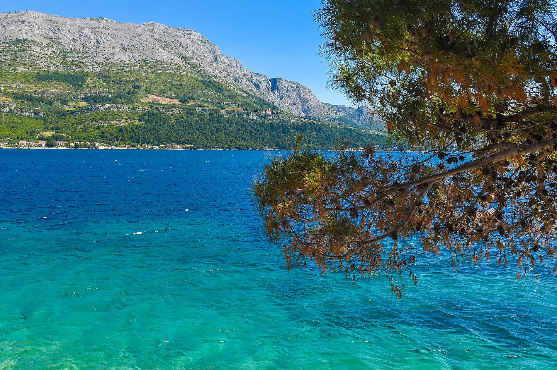 Merveilles naturelles et joyaux culturels de Dalmatie 