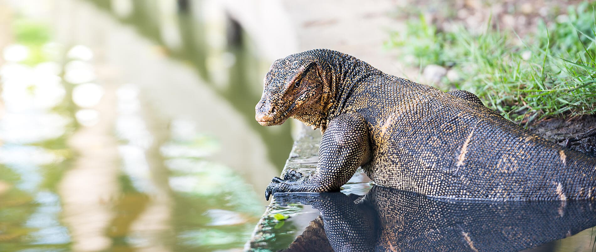 Odyssée tropicale indonésienne 