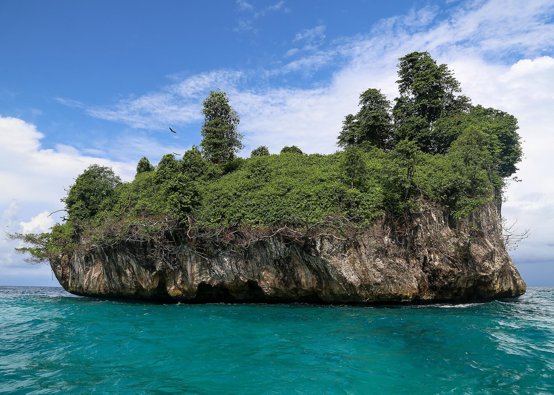 Odyssée tropicale indonésienne 