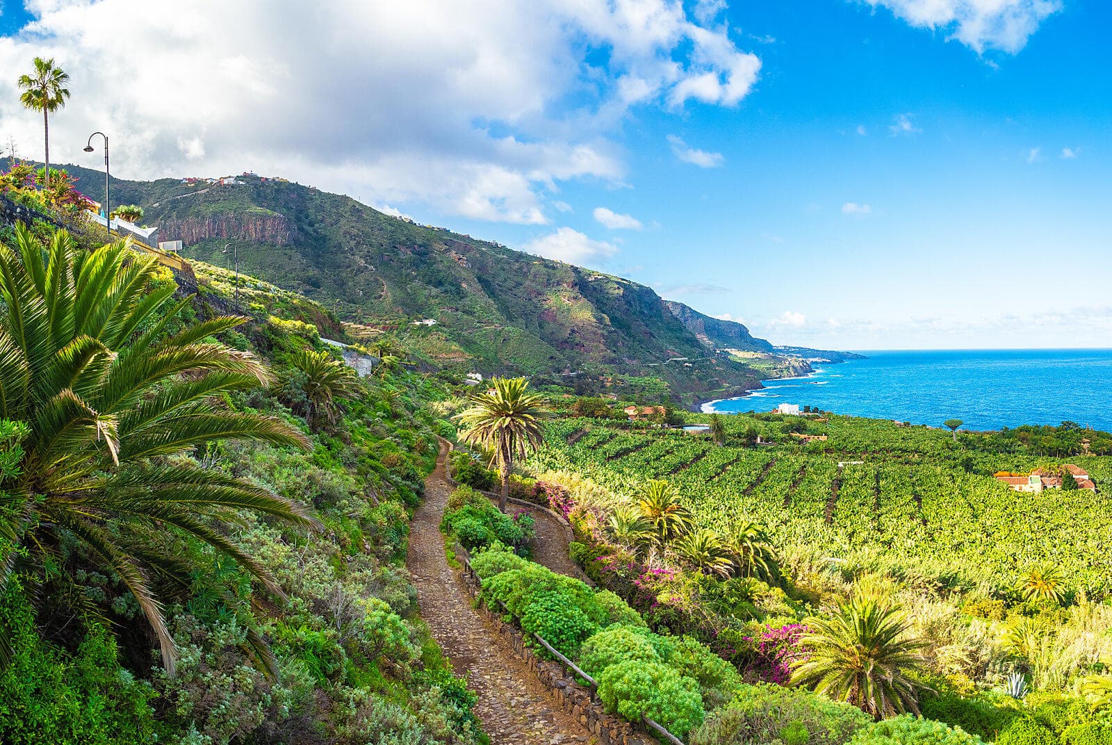 Odyssée atlantique des Canaries à la péninsule ibérique 