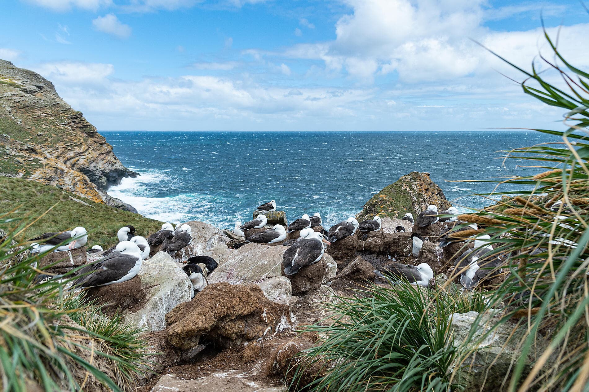 Voyage en terres australes et péninsule Valdés 