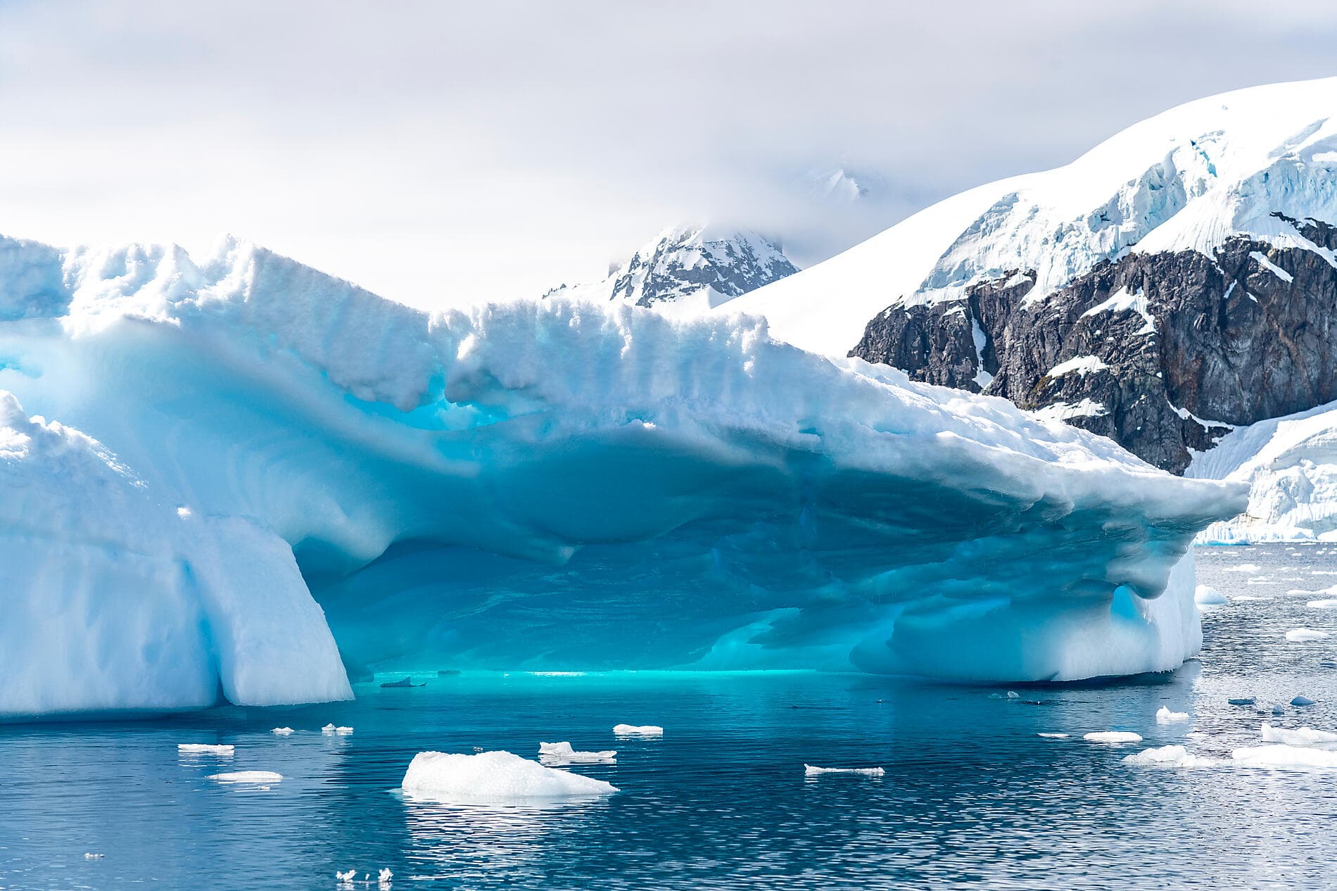 L’Antarctique emblématique  