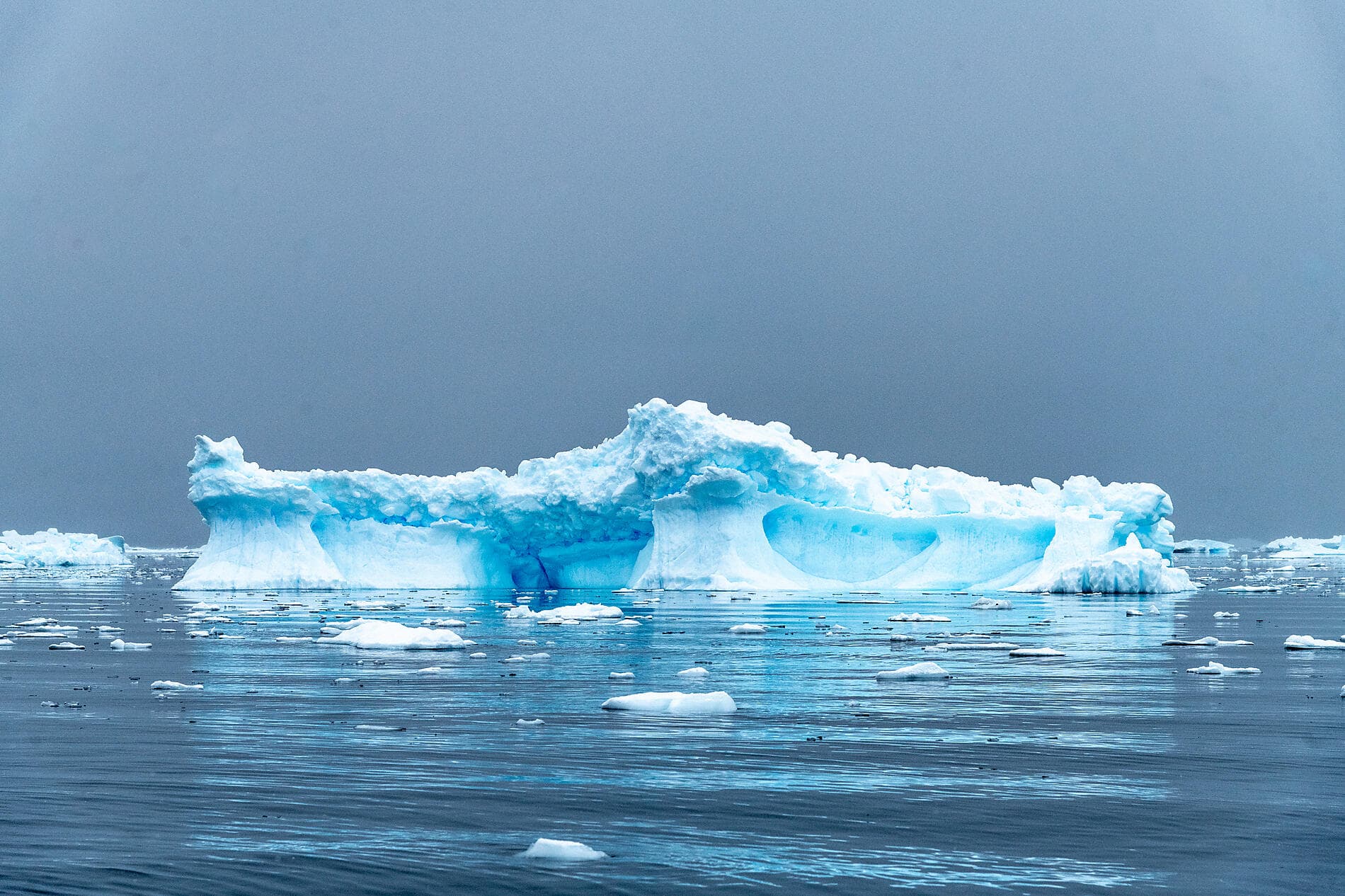L’Antarctique emblématique  