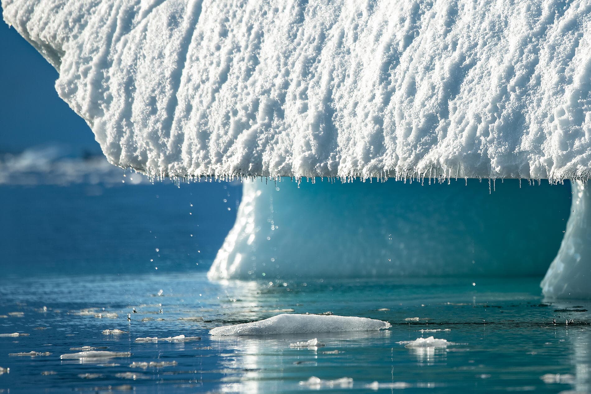 L’Antarctique emblématique  