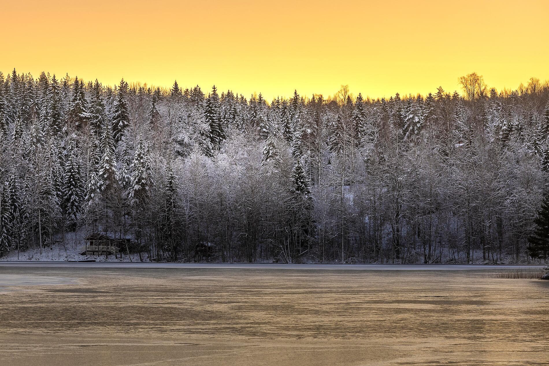 Féérie baltique et traditions hivernales