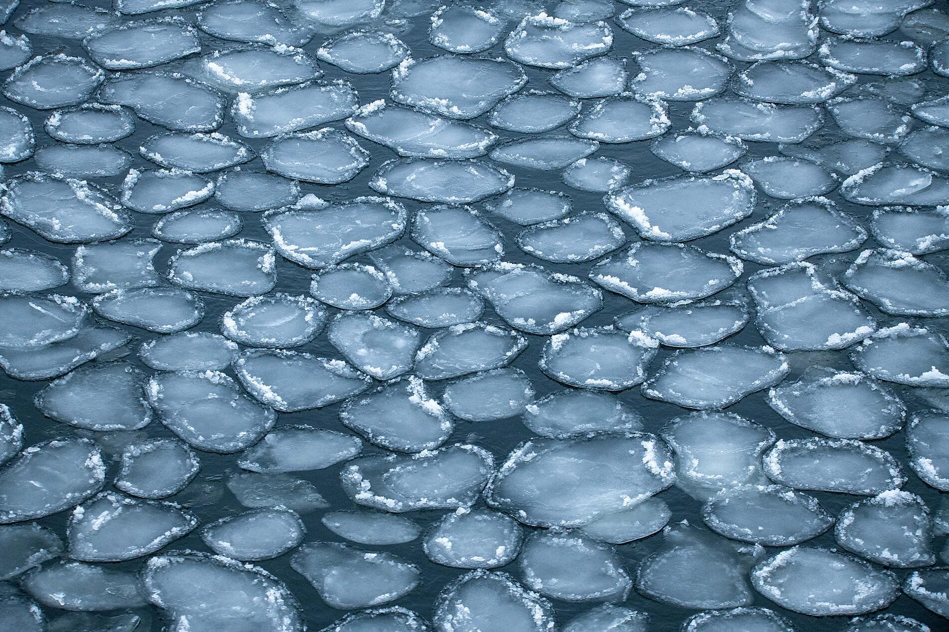 Le golfe de Botnie, aux portes de l’Arctique 
