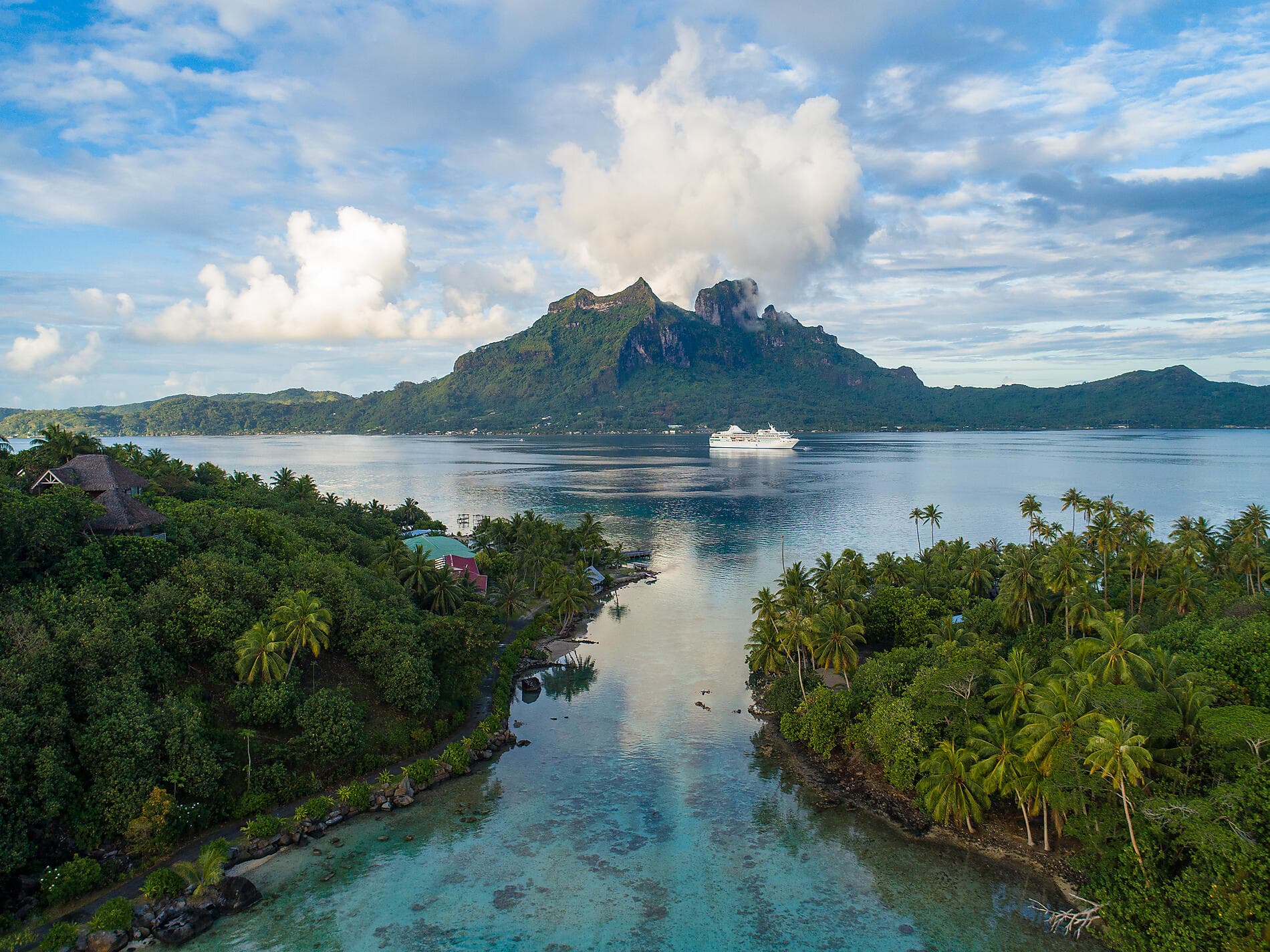 Perles des îles de la Société 