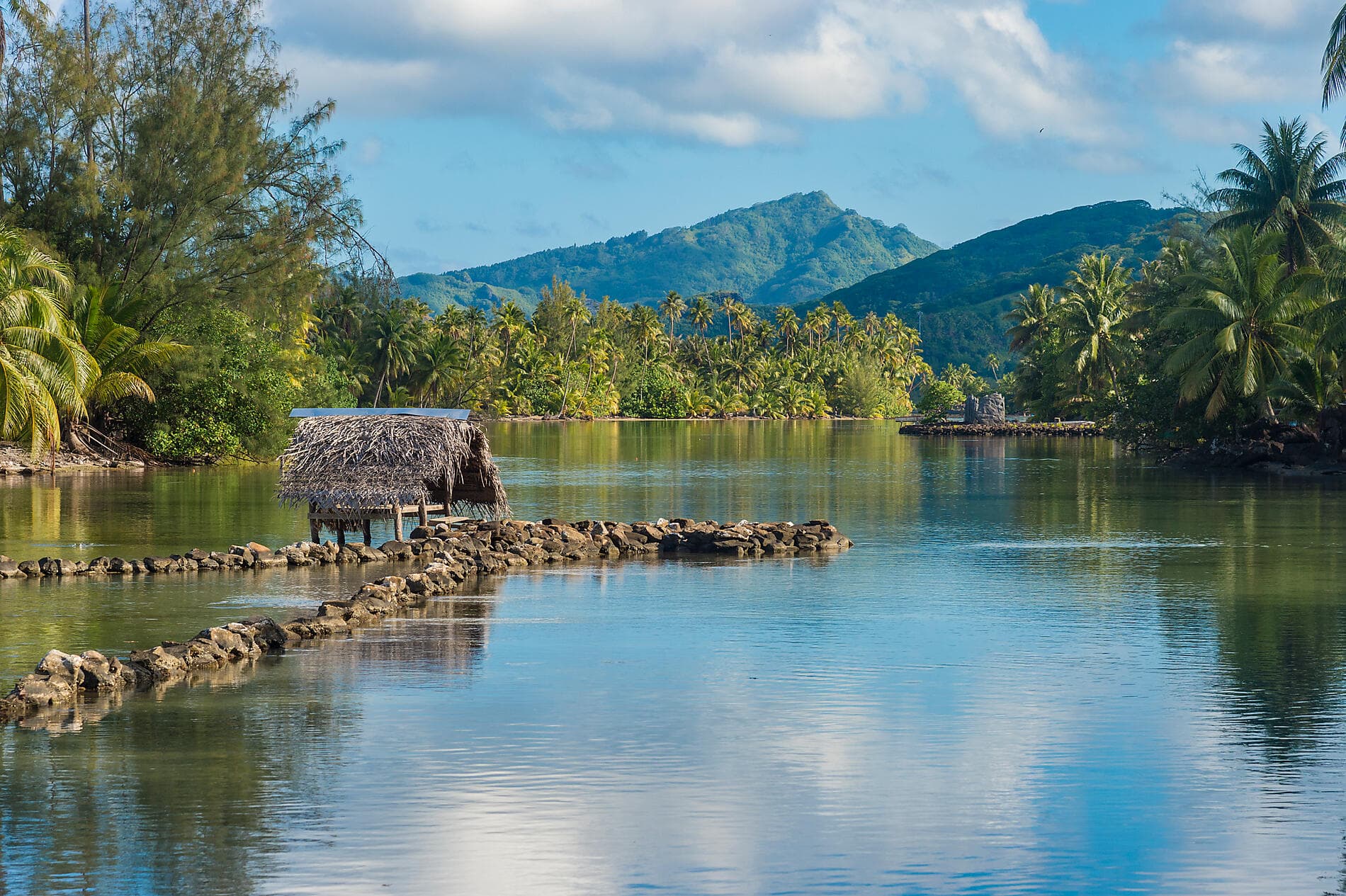 Perles des îles de la Société 