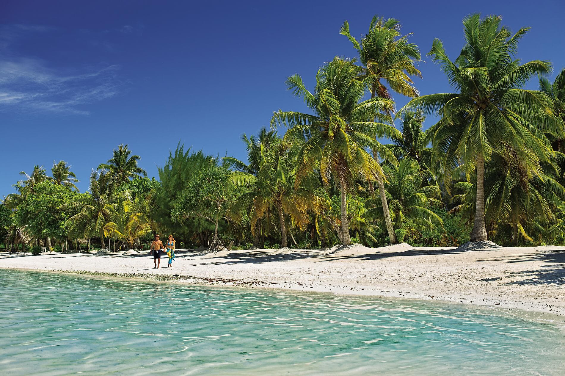 Marquises, Tuamotu et îles de la Société 