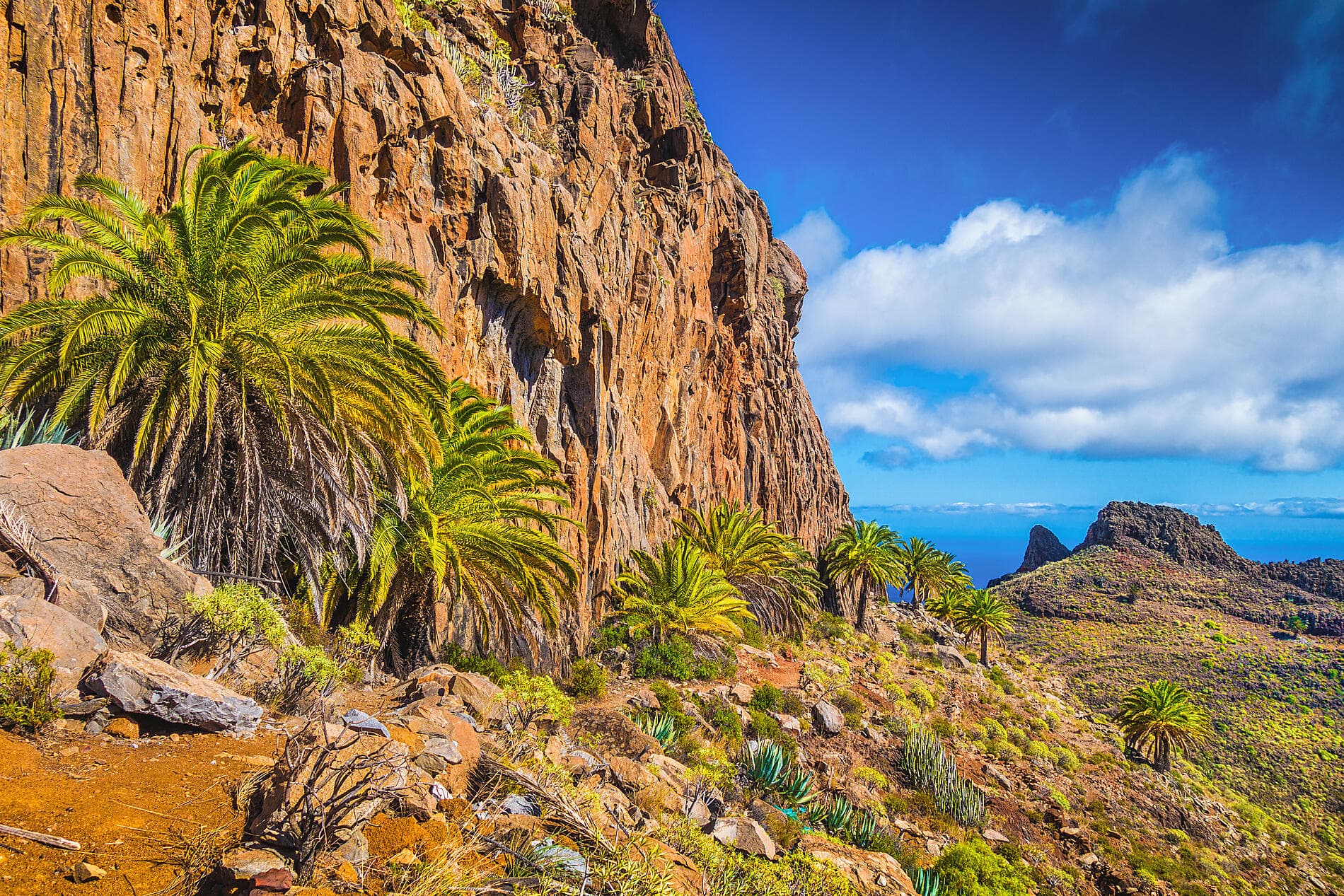 Les Canaries, terres de contrastes 