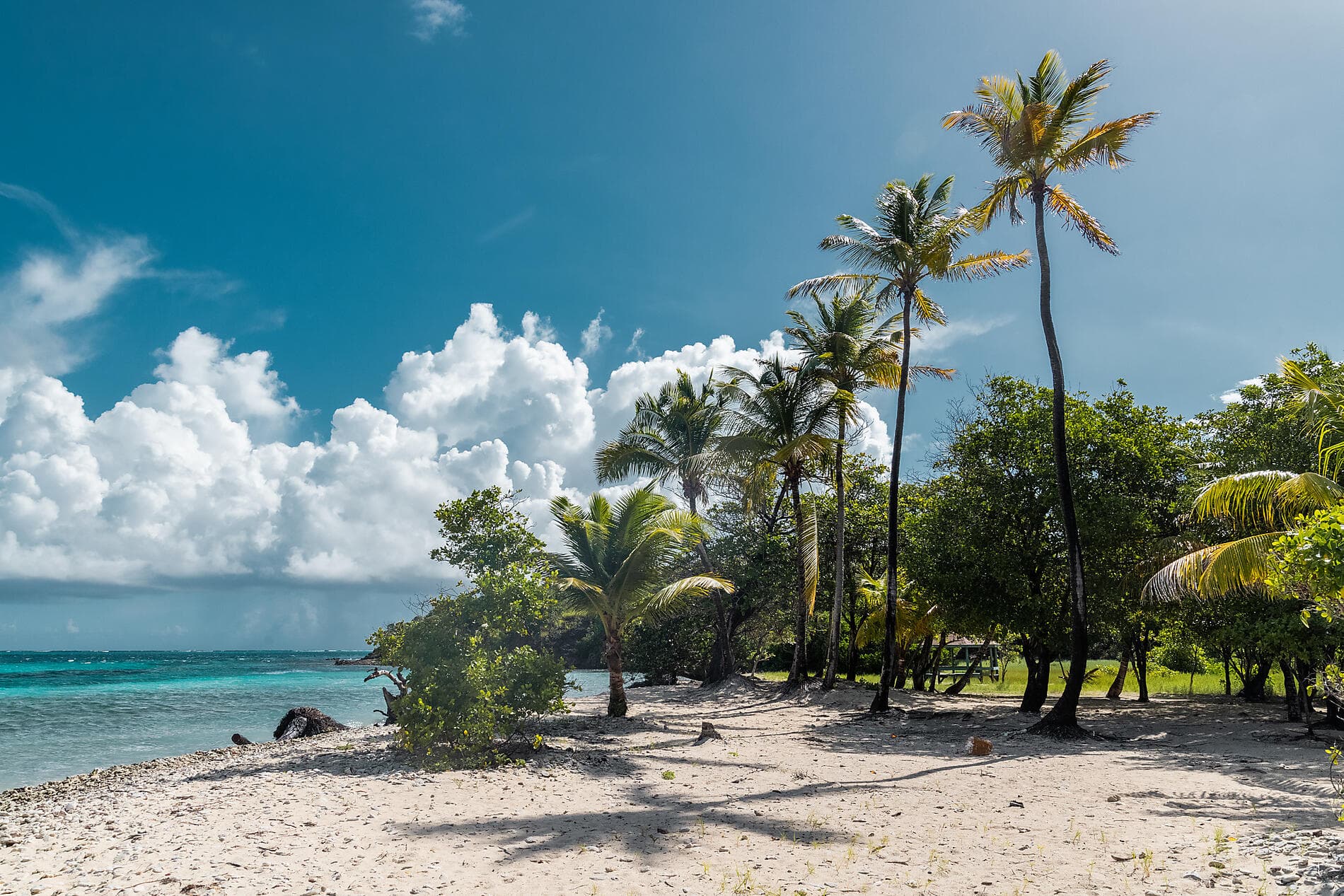 Histoire et culture dans les bijoux des Caraïbes 