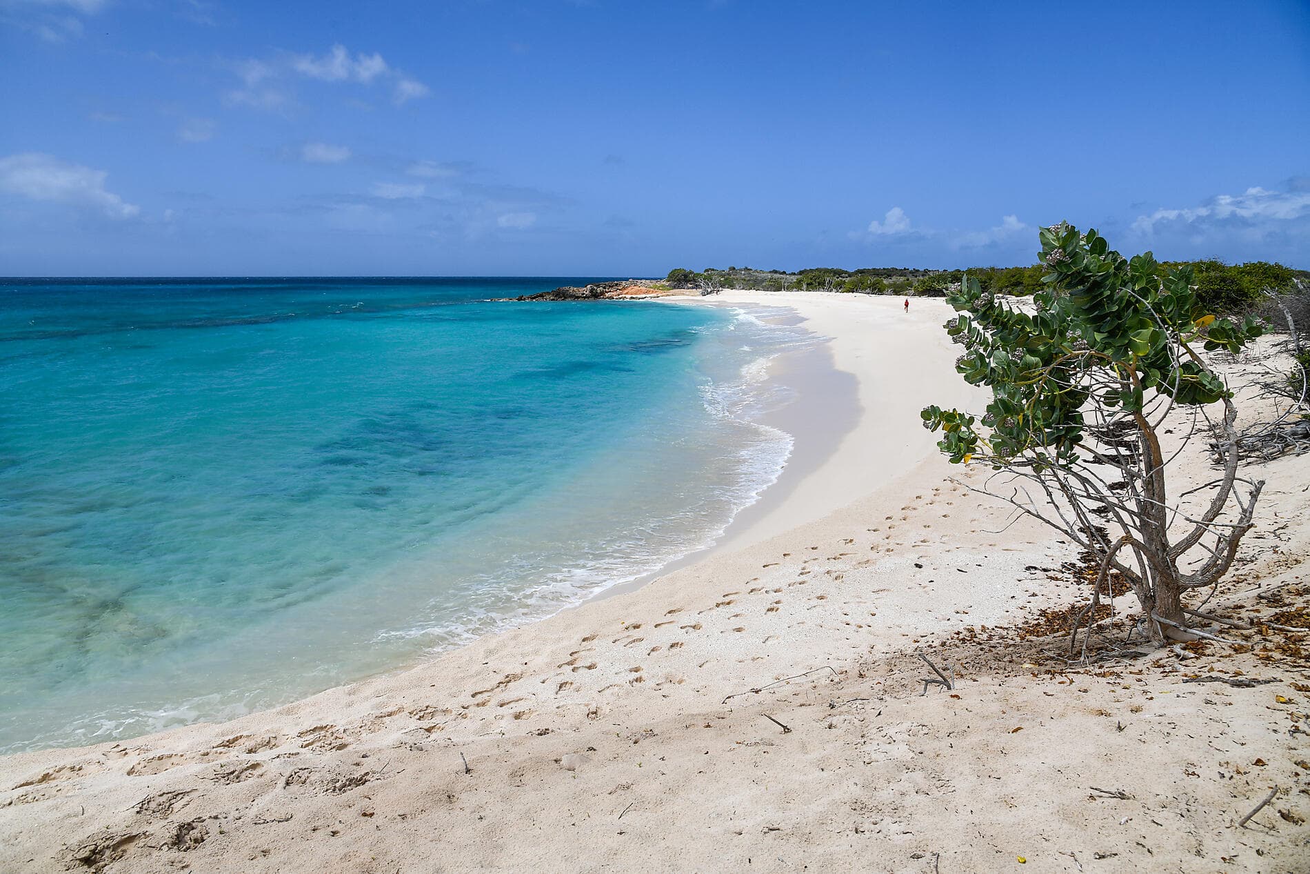 Histoire et culture dans les bijoux des Caraïbes 