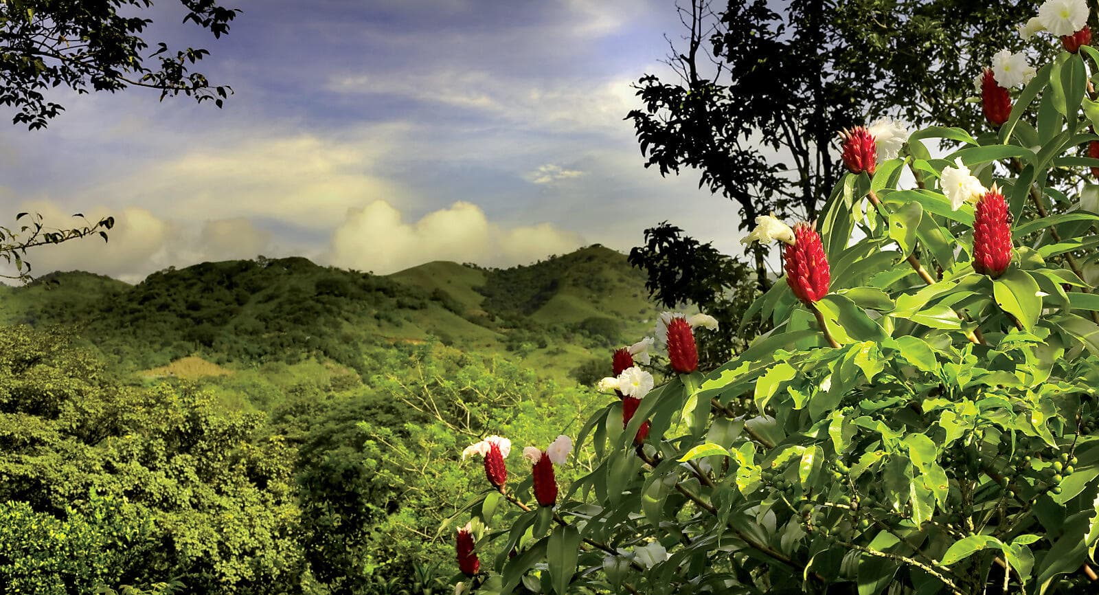 Canal de Panama et joyaux d’Amérique centrale  